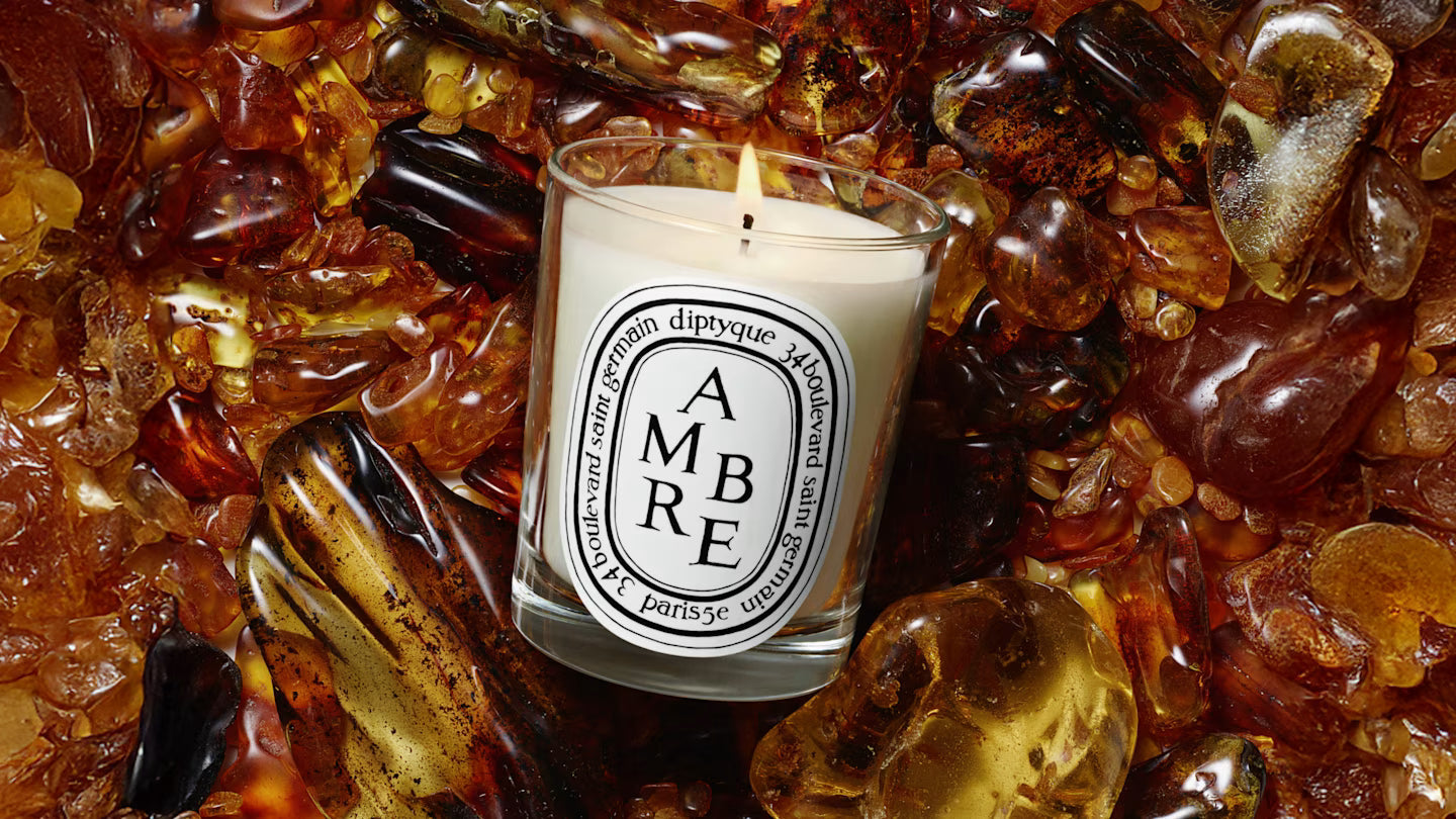 Ambre (Amber) Home Fragrance Collection | Diptyque Paris Canada