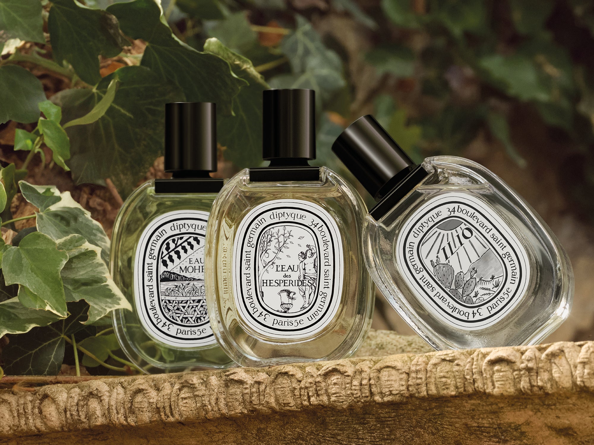 L'été en parfum