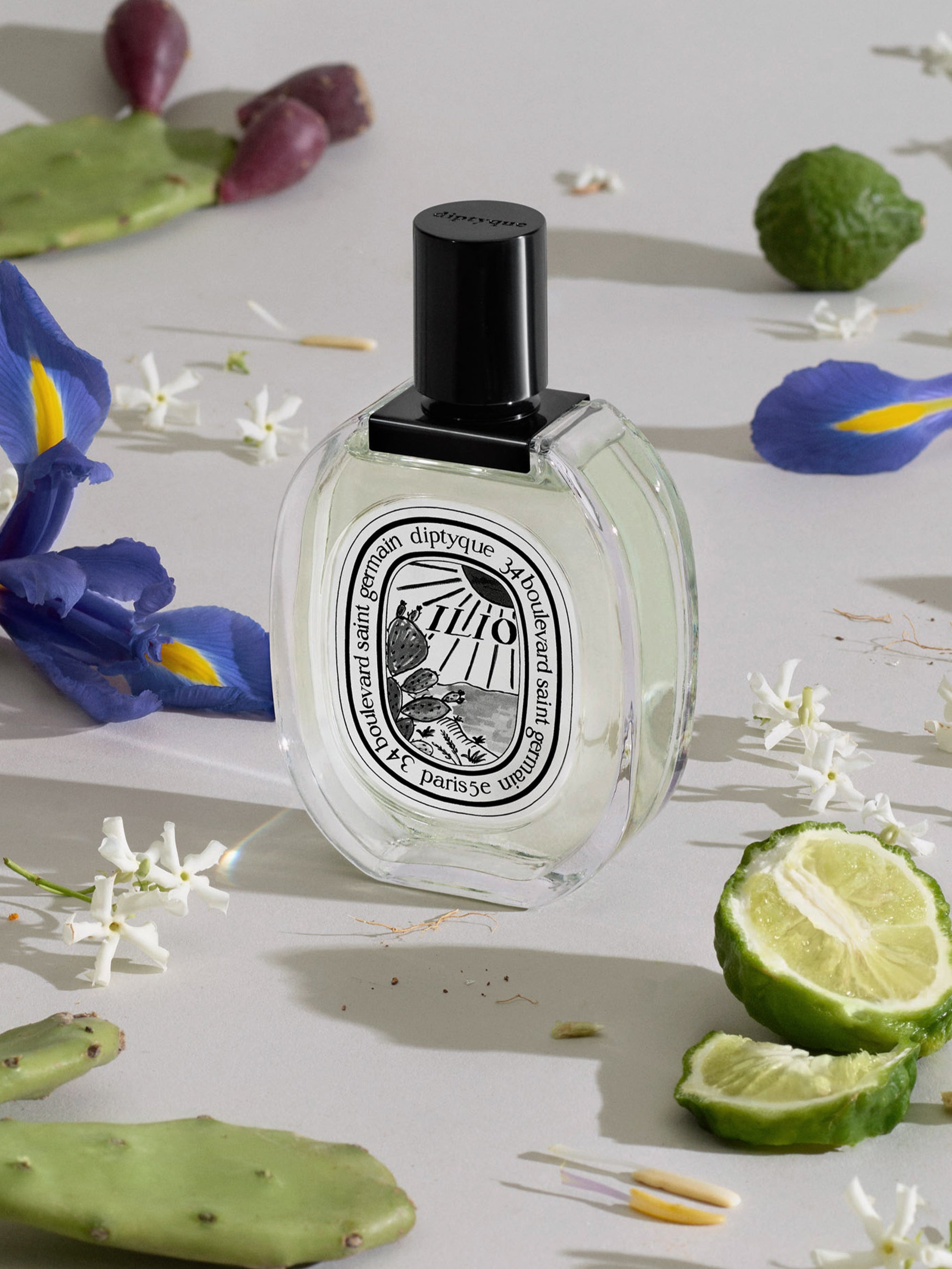 Ilio Eau de Toilette | Diptyque Paris