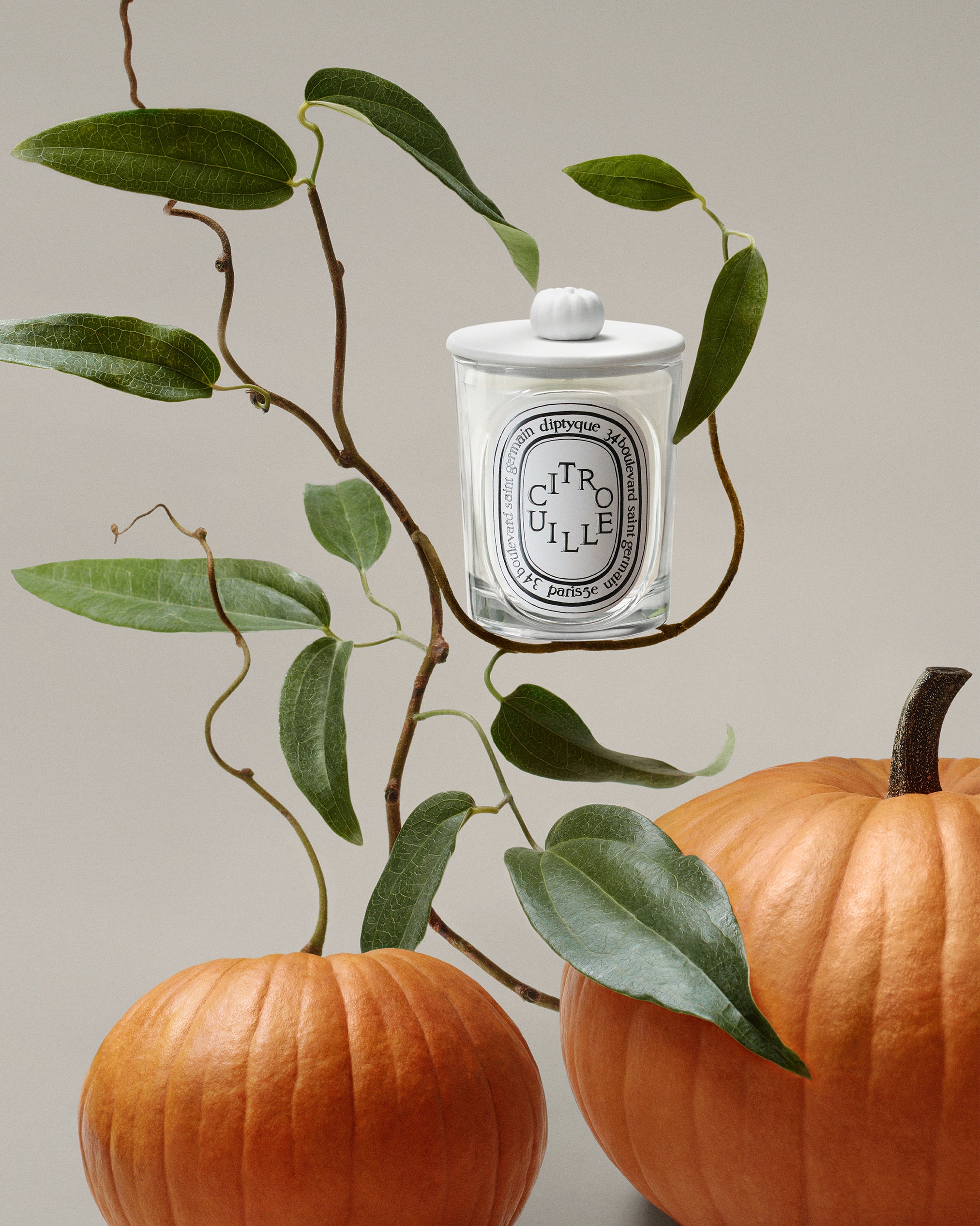 diptyque CITROUILLE キャンドル 190g Autumn Limited Edition Pumpkin Candle | Diptyque Paris