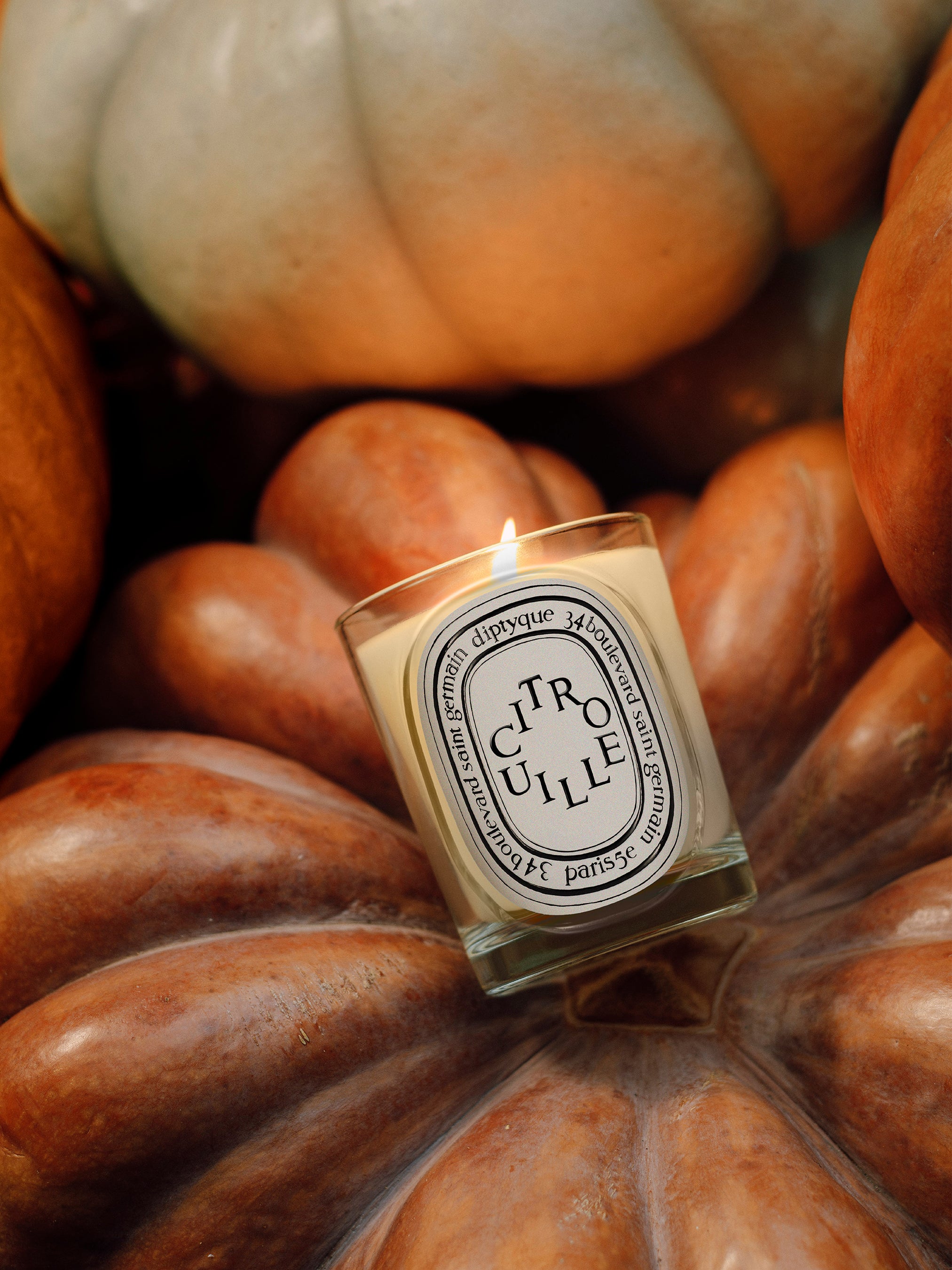Autumn Limited Edition Pumpkin Candle | Diptyque Paris Canada