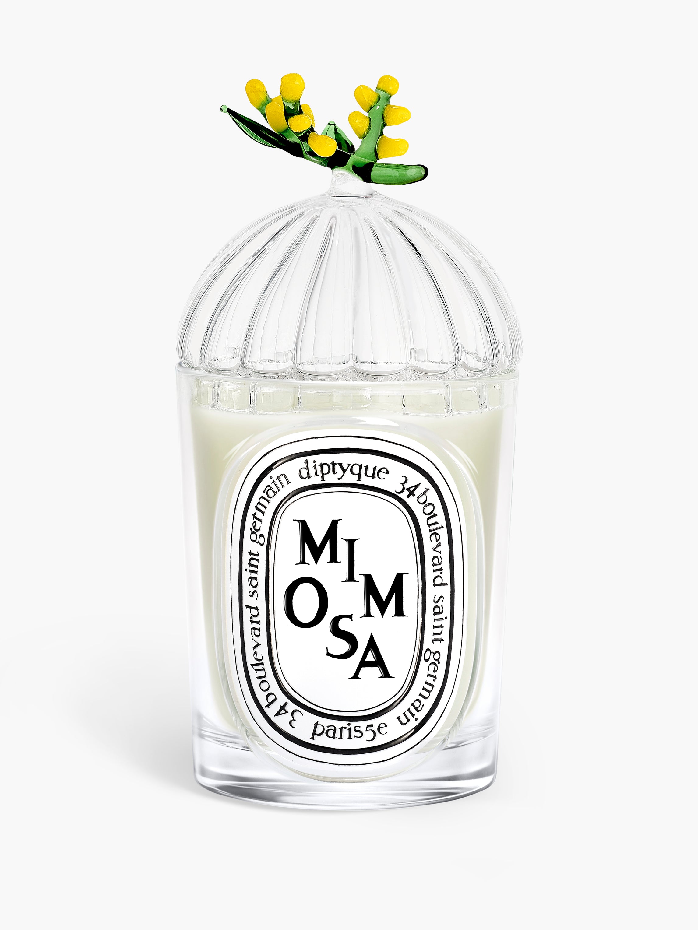 Mimosa – Diptyque