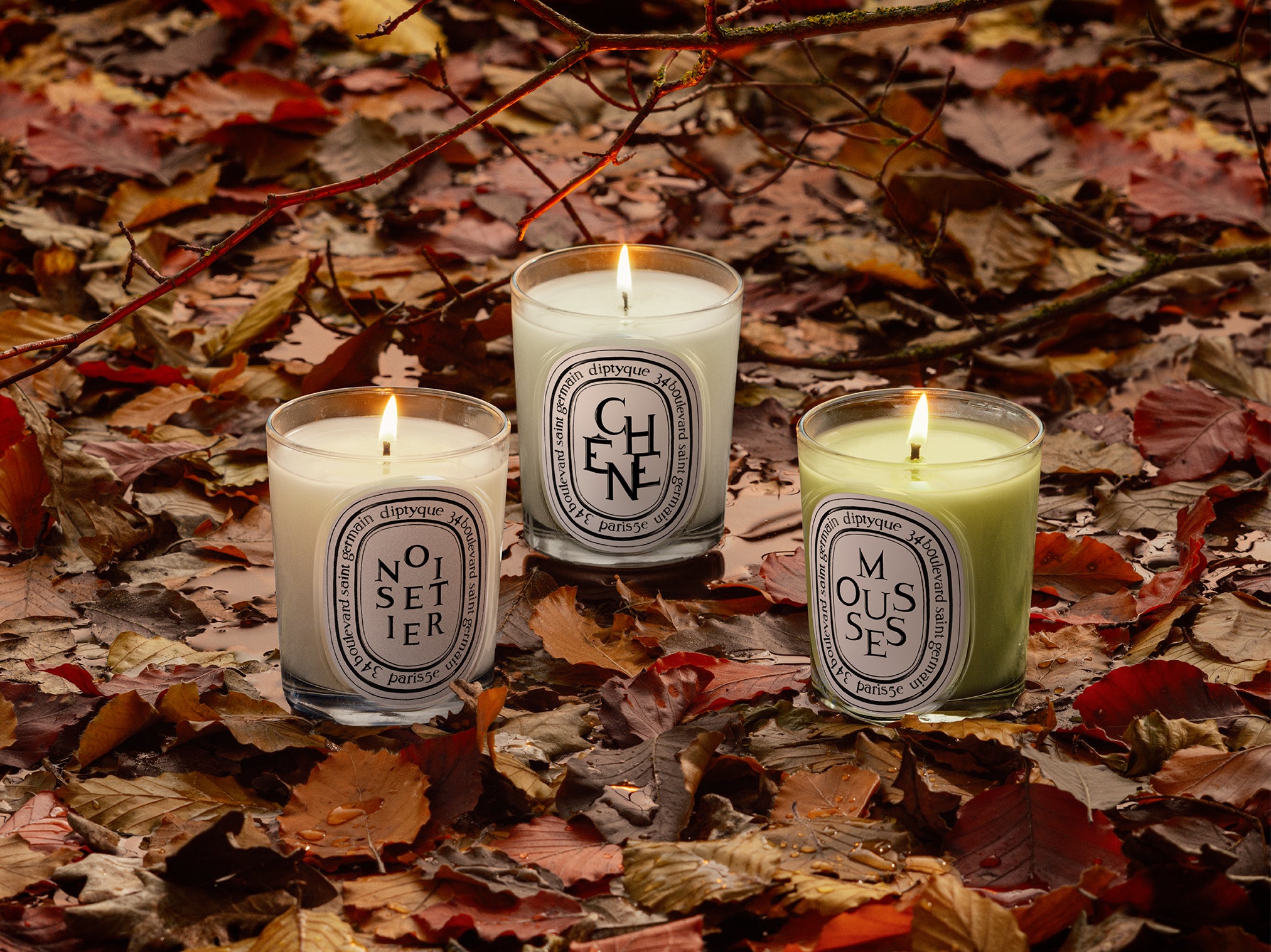Roses Scented Candle | Diptyque Paris