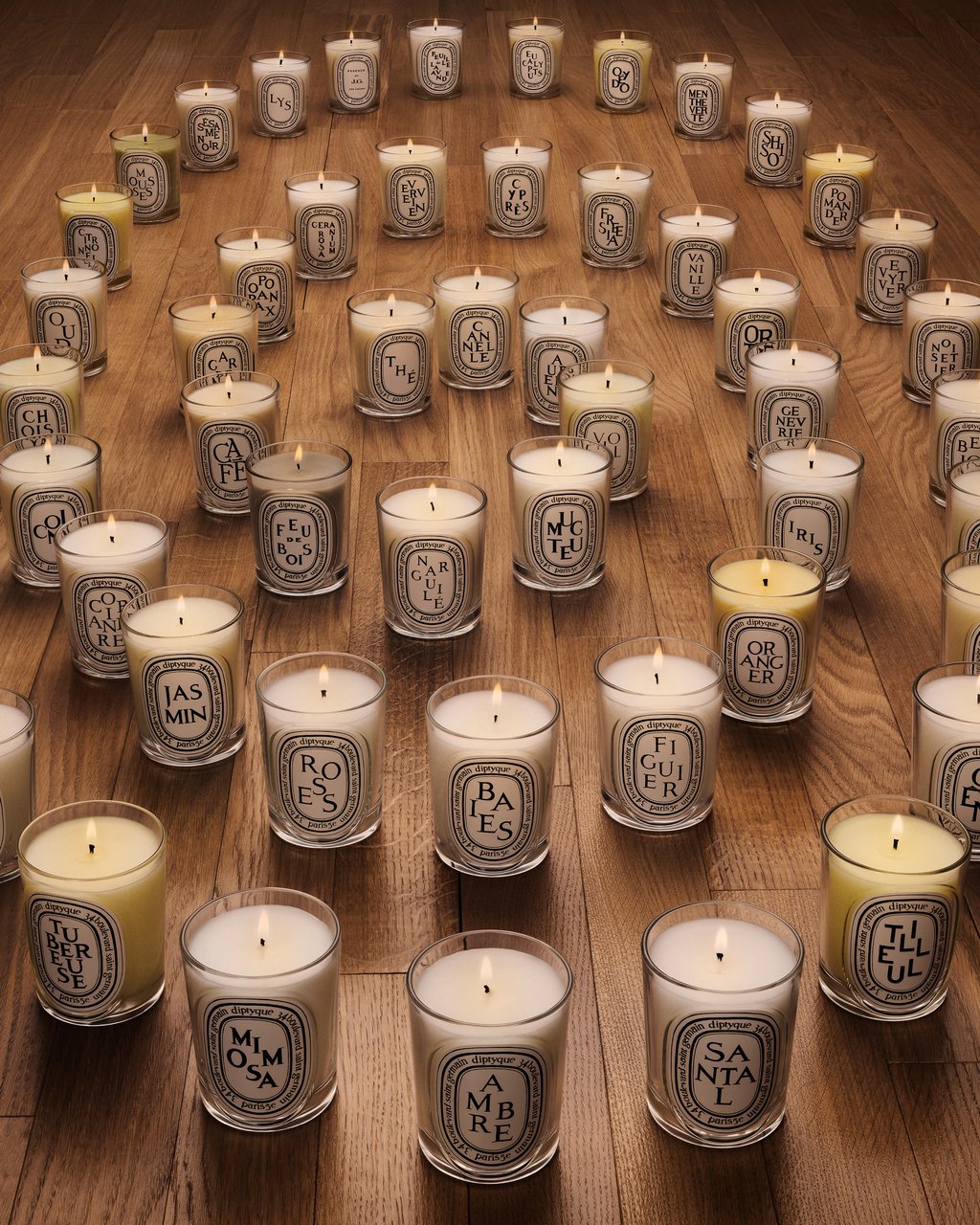 Landscape Lid - For classic candles – Diptyque