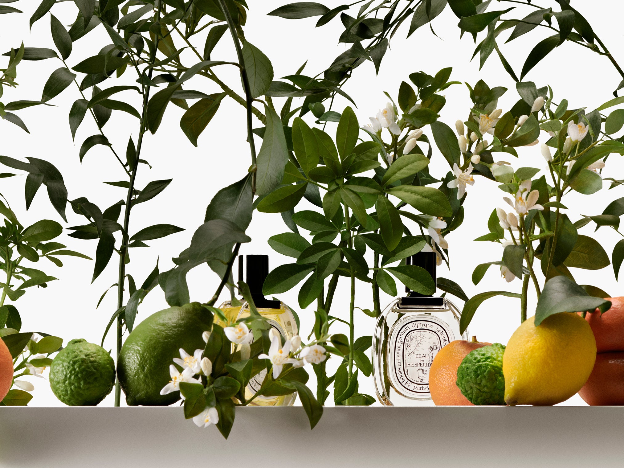 Ornaments – Diptyque