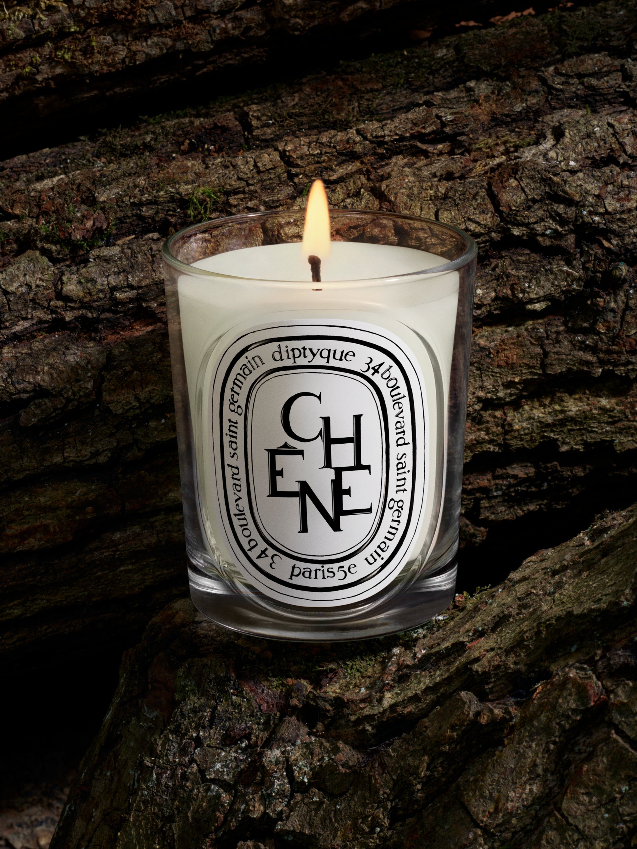 Chêne (Oak Tree) Scented Candle | Diptyque Paris Chêne (Oak Tree) Scented Candle | Diptyque Paris