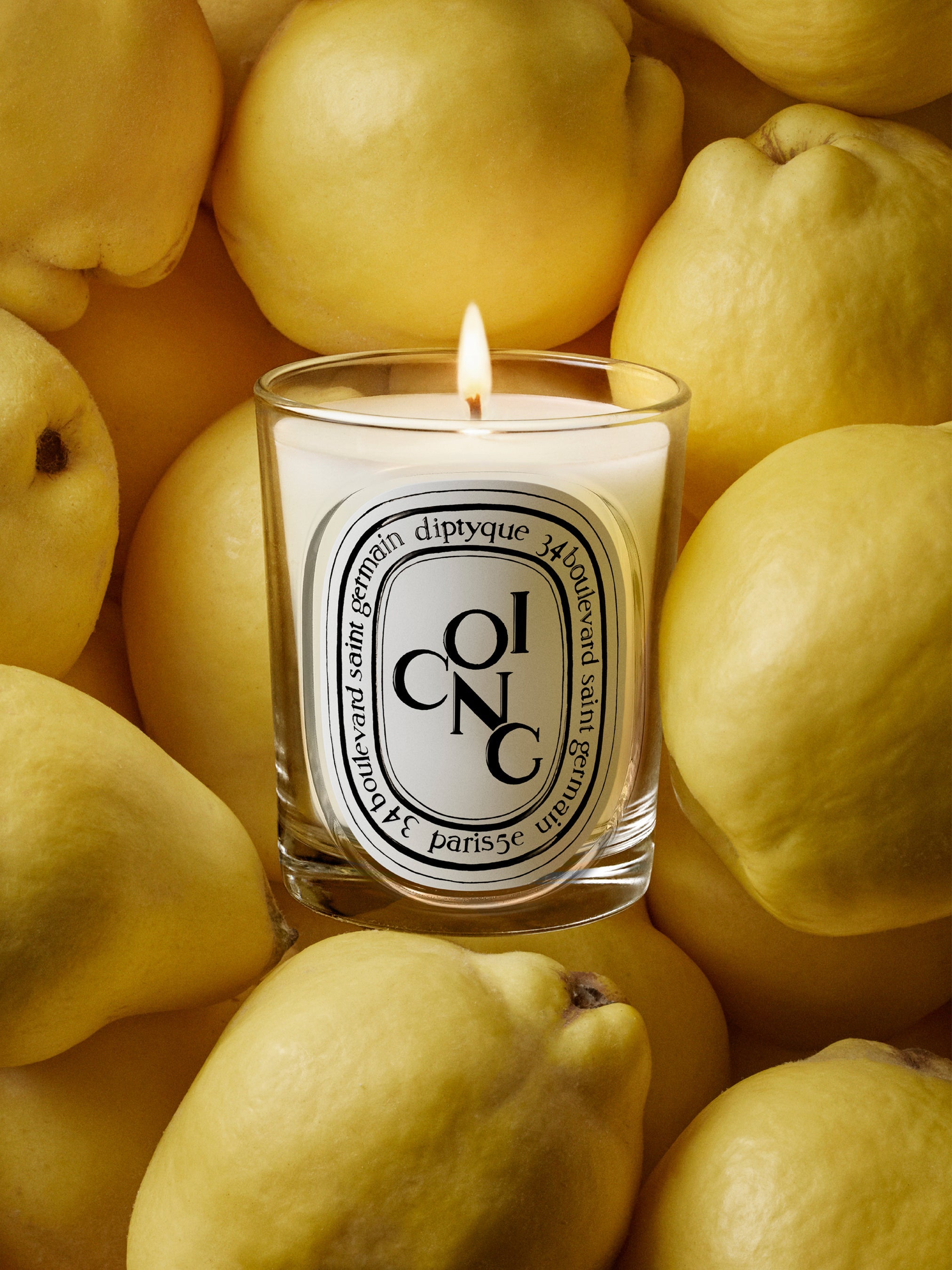 Coing (Quince) - Classic Candle – Diptyque