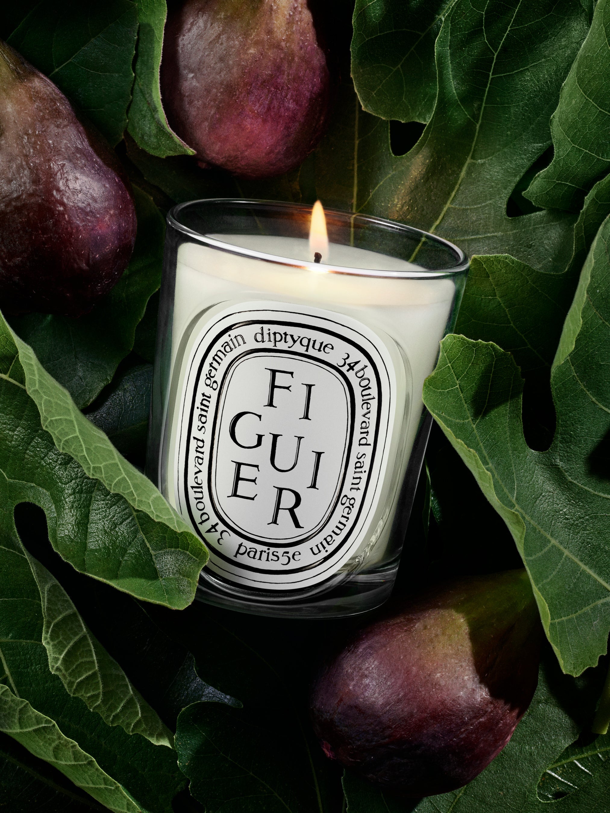 Figuier (Fig Tree) - Refill for classic candles – Diptyque