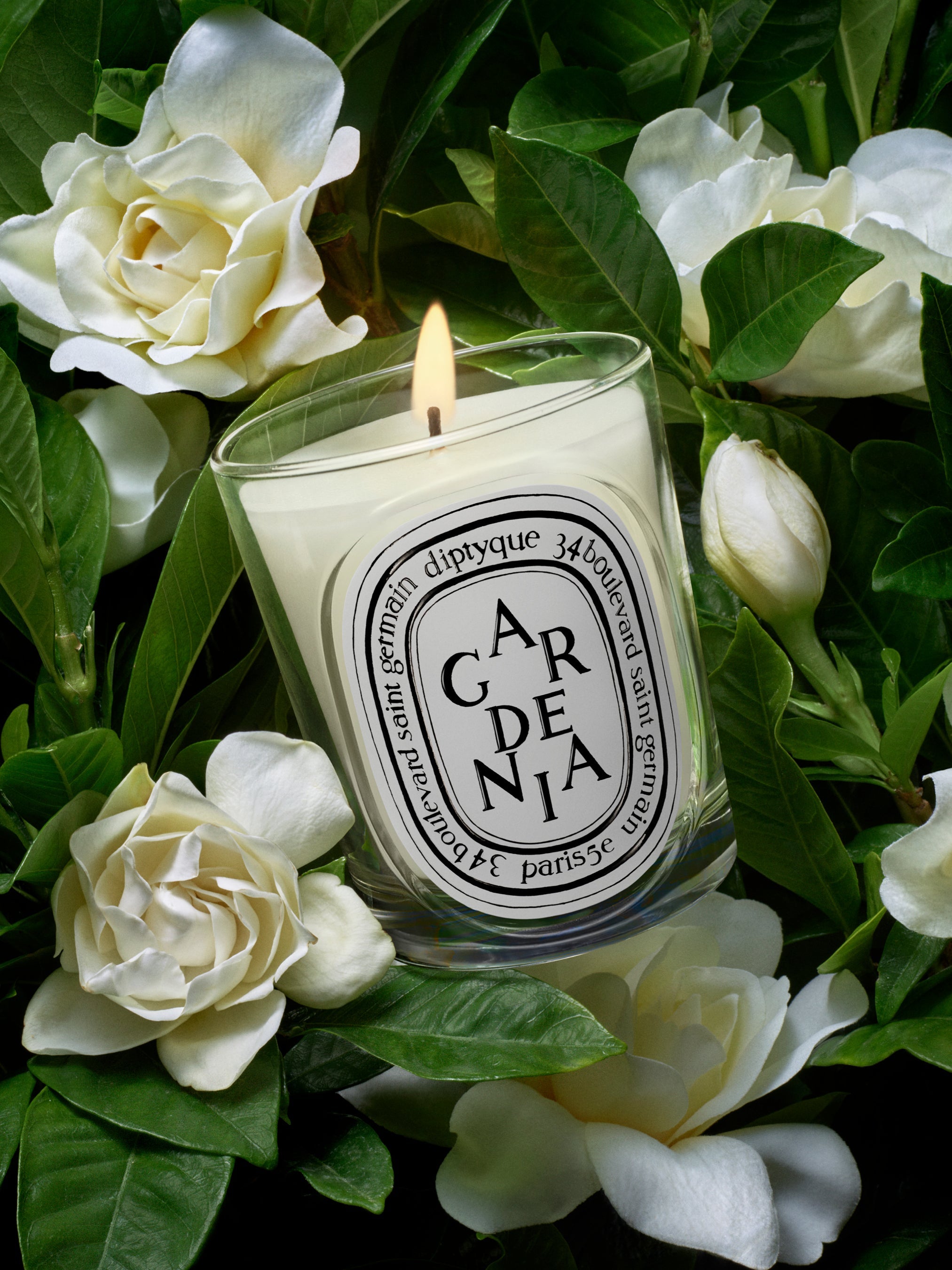 diptyque キャンドル 190g GARDENIA Gardenia - Classic Candle – Diptyque