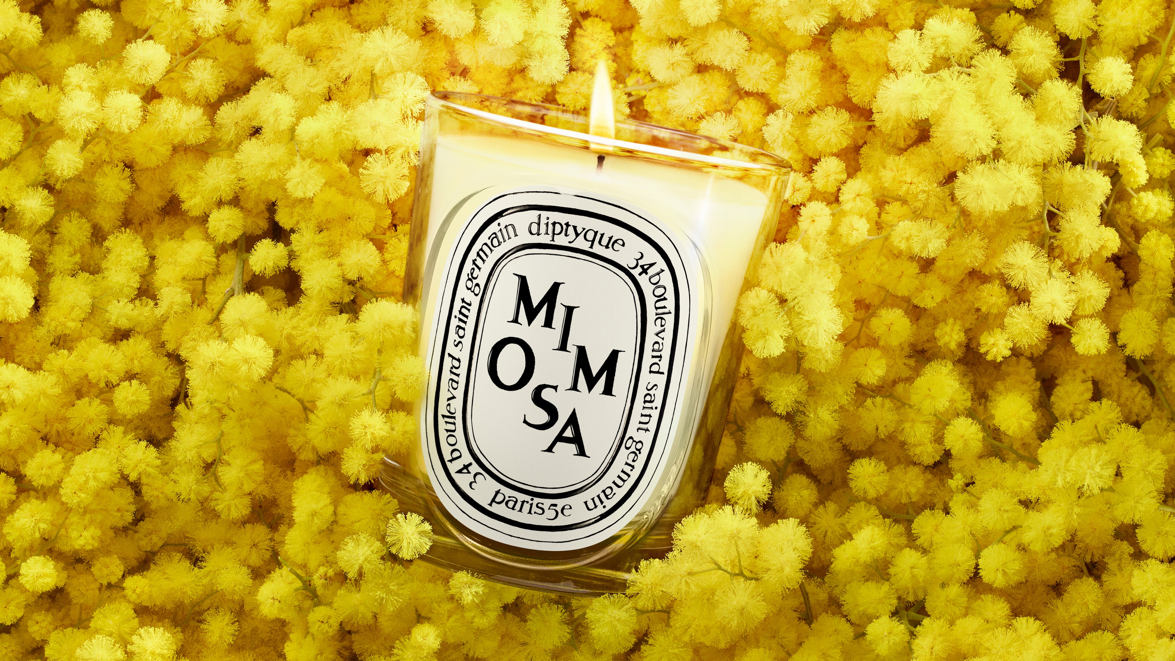 Mimosa Collection – Diptyque