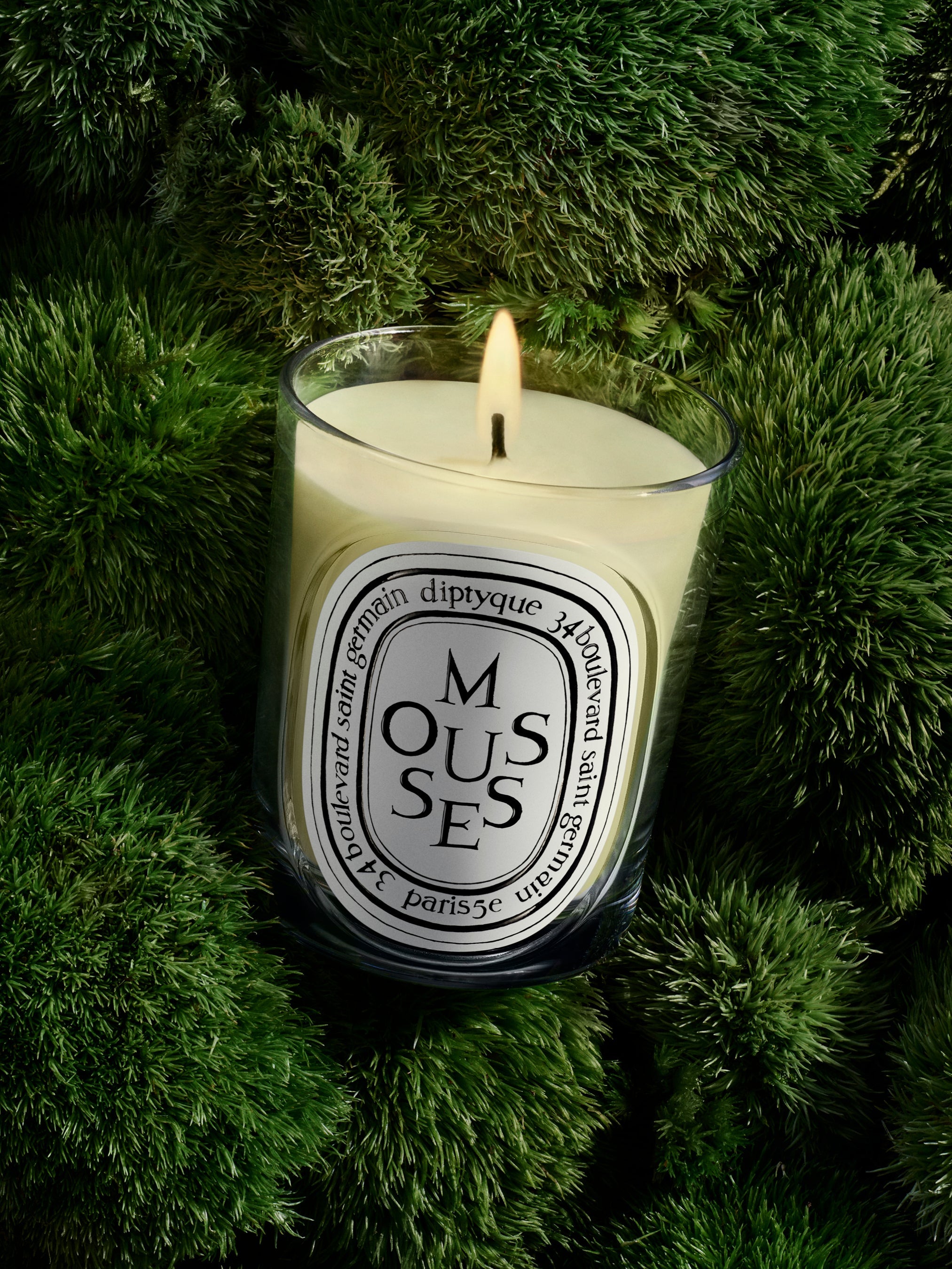 diptyque Mousse & Noisetier キャンドル 190g HERBIER_CTM_VISUEL_MOUSSE-