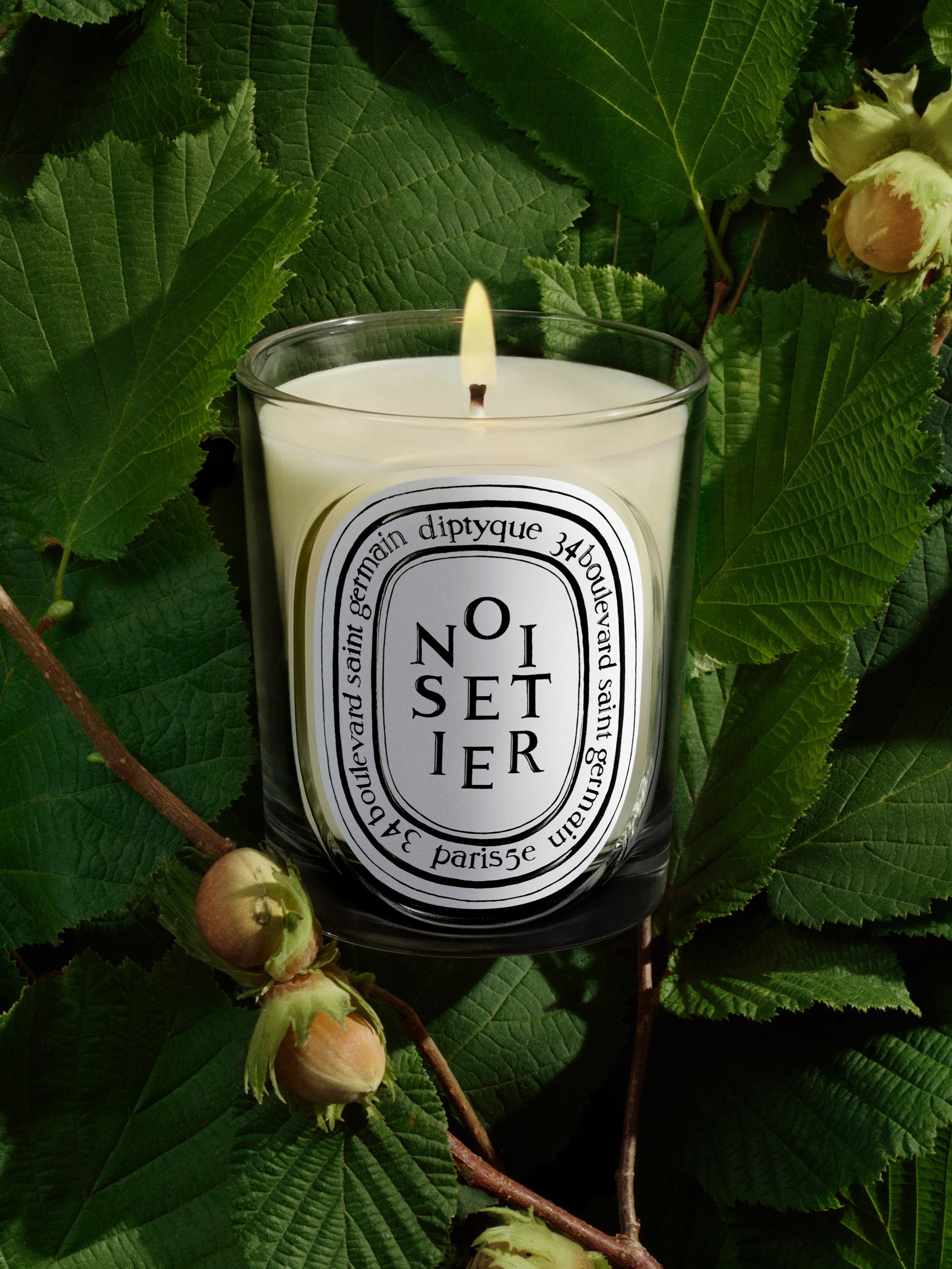 Noisetier (Hazel Tree) Scented Candle | Diptyque Paris Canada