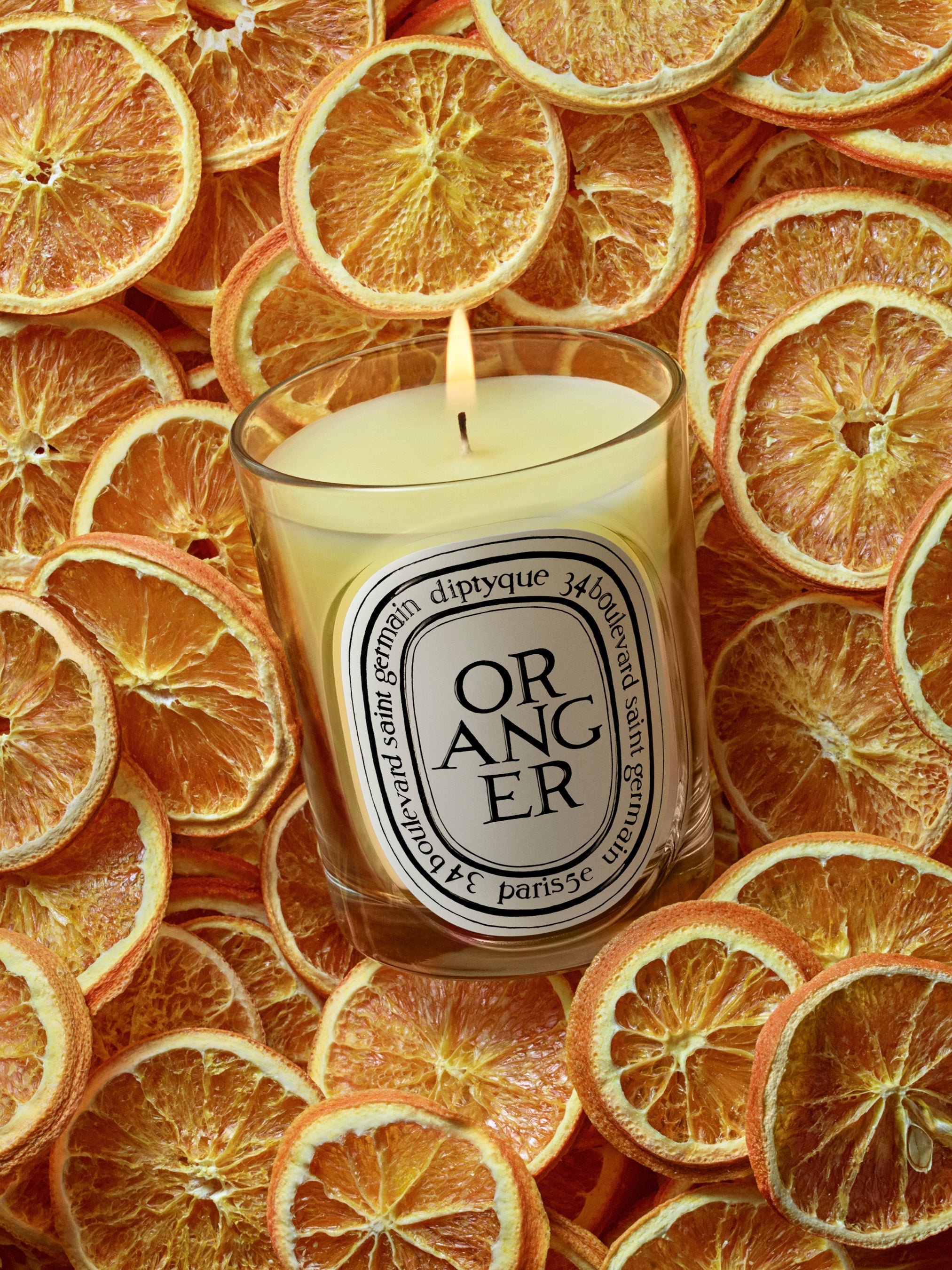 HERBIER_CTM_VISUEL_ORANGE-