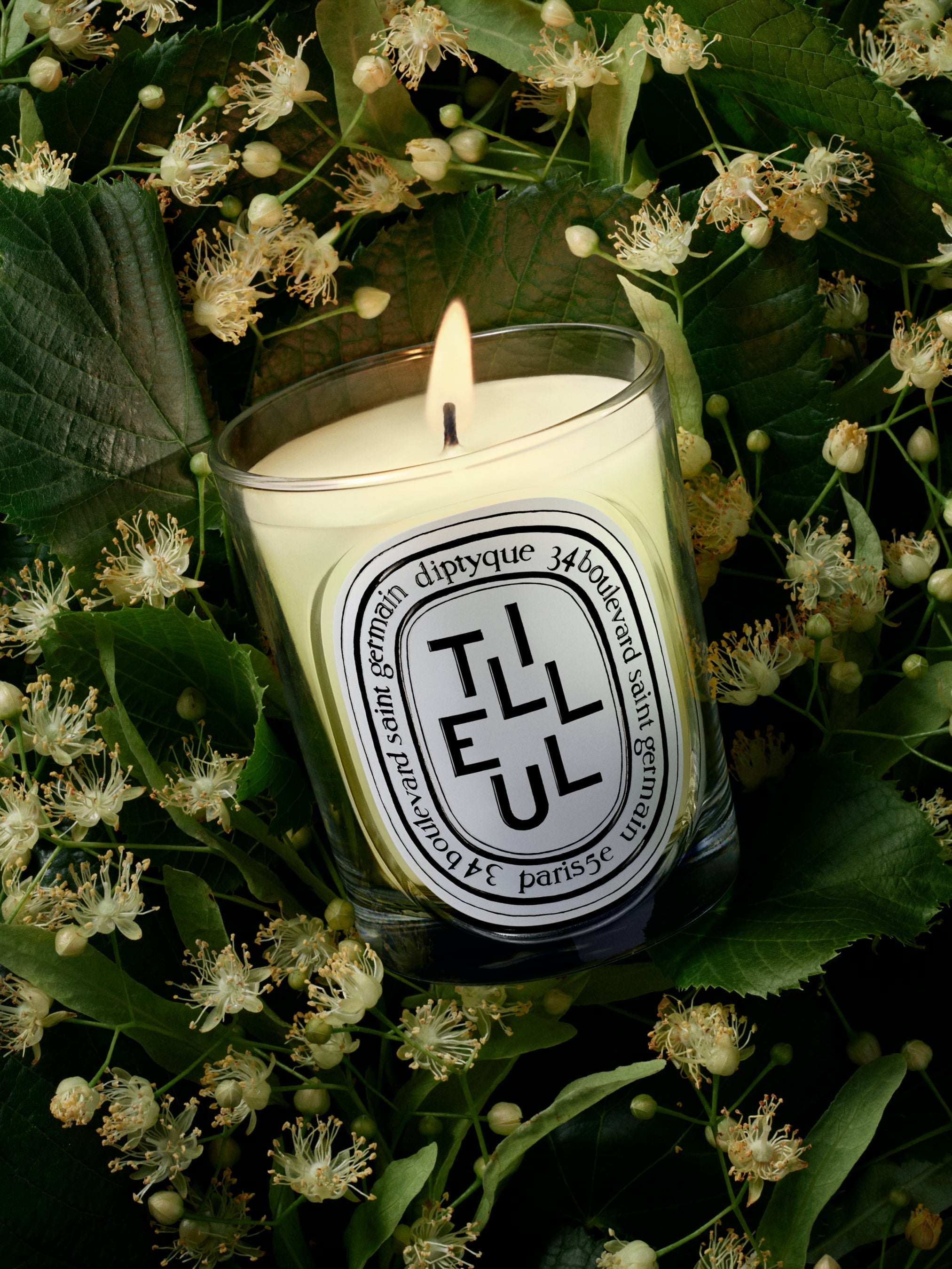 Tilleul (Linden Tree) Scented Candle | Diptyque Paris Canada