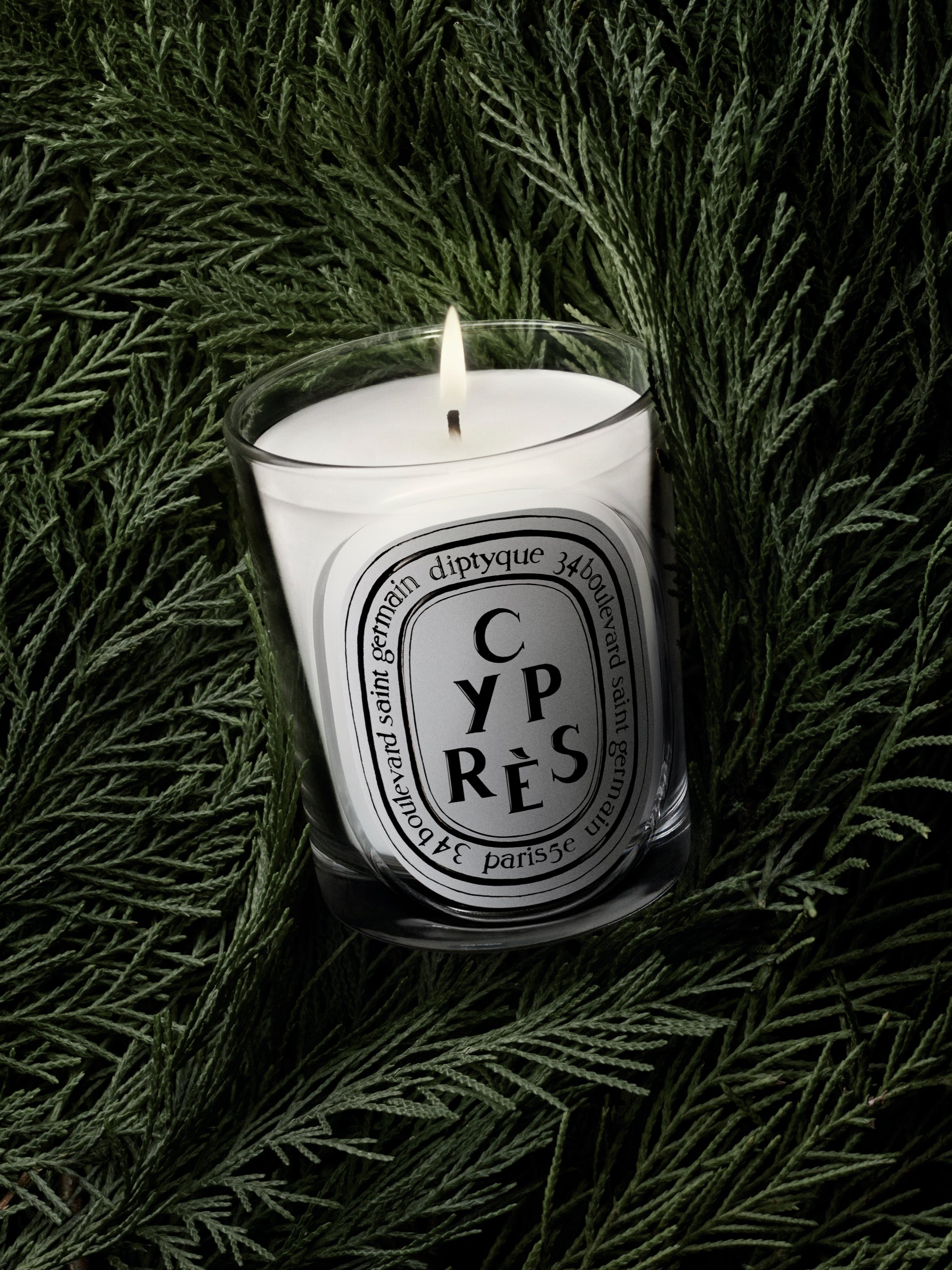新品未使用　未開封　diptyque CYPRES candle 190g HERBIER_VISUEL_CYPRES-