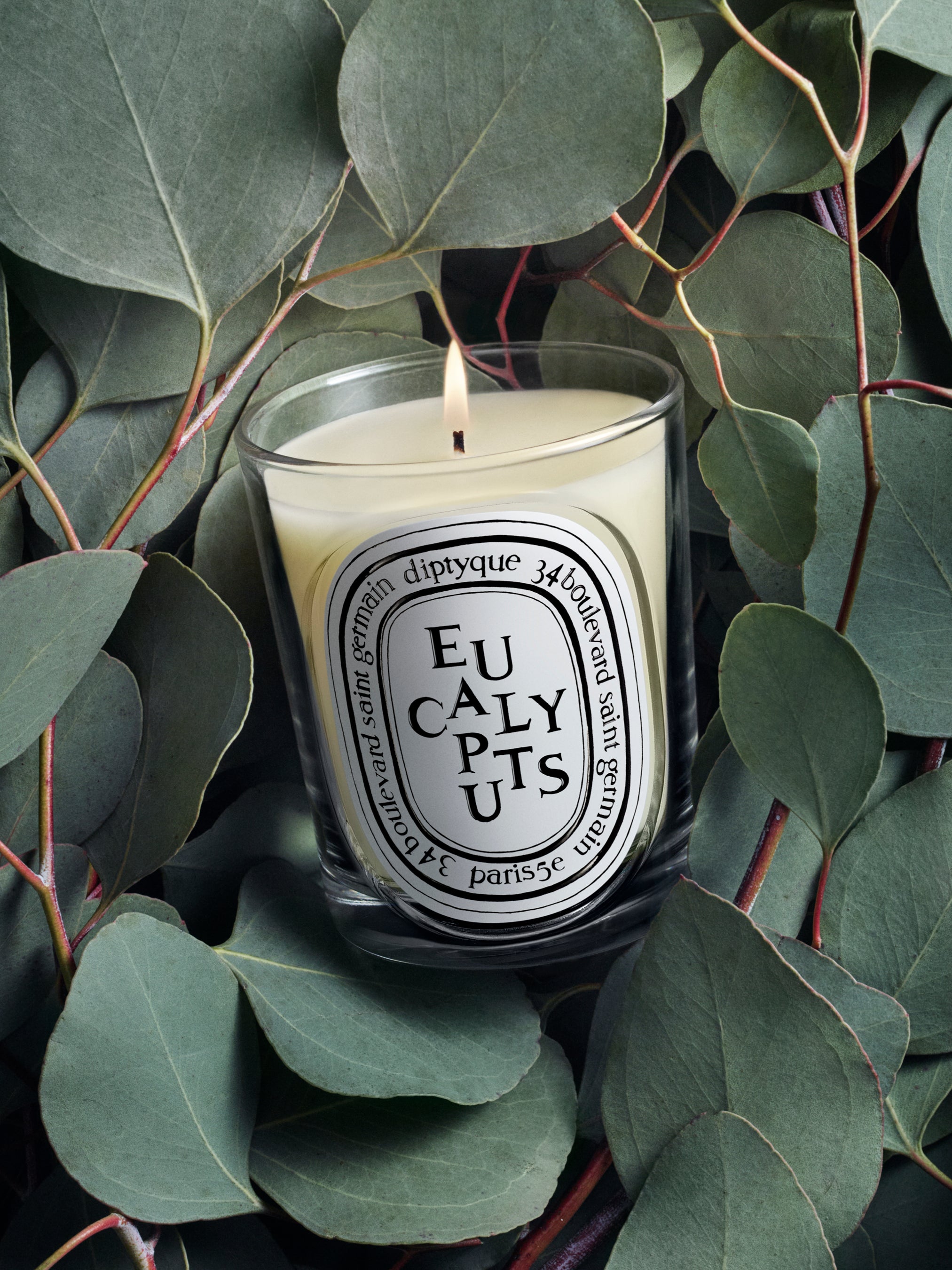 Eucalyptus Scented Candle | Diptyque Paris
