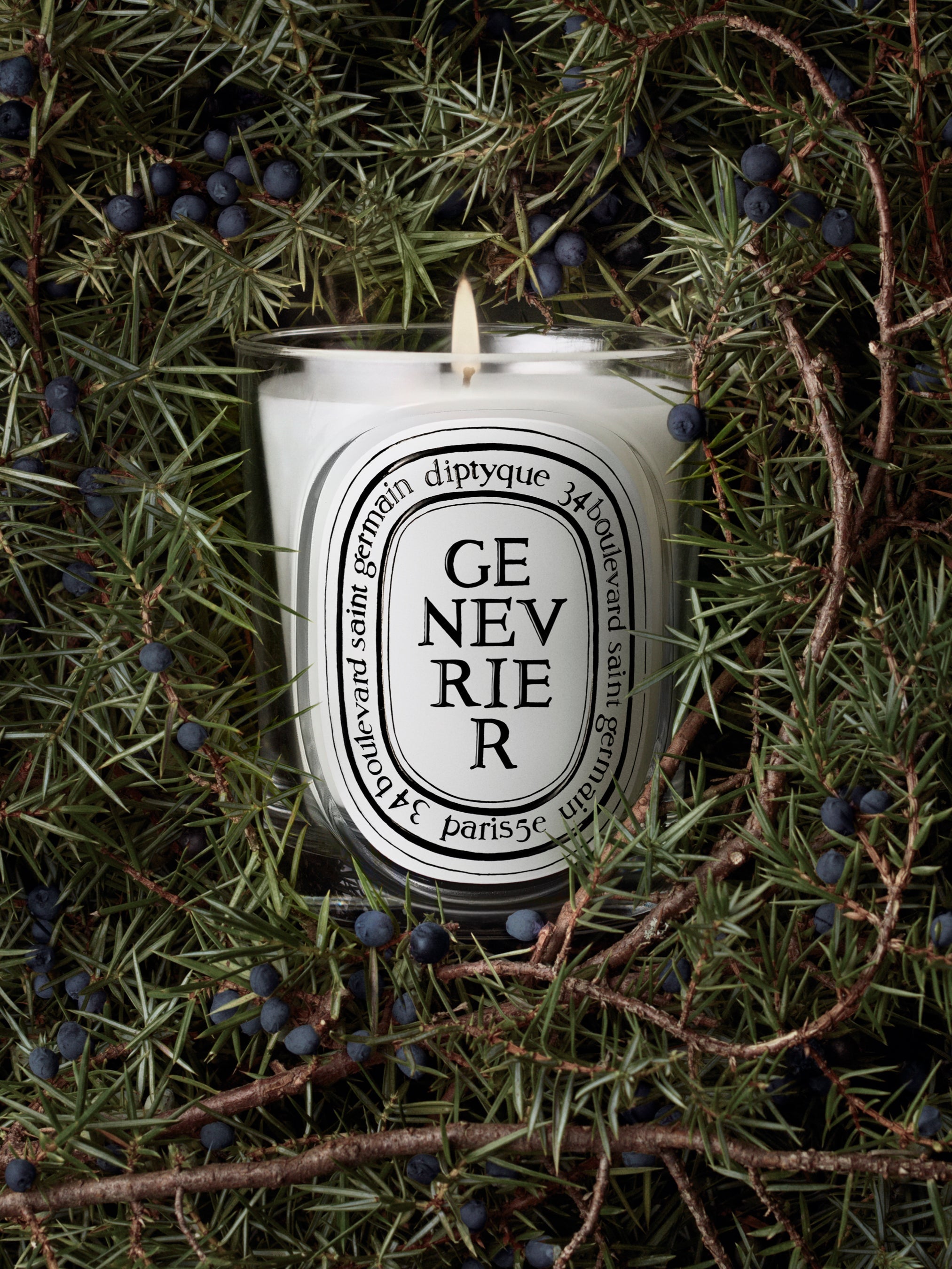 HERBIER_VISUEL_GENEVRIER-