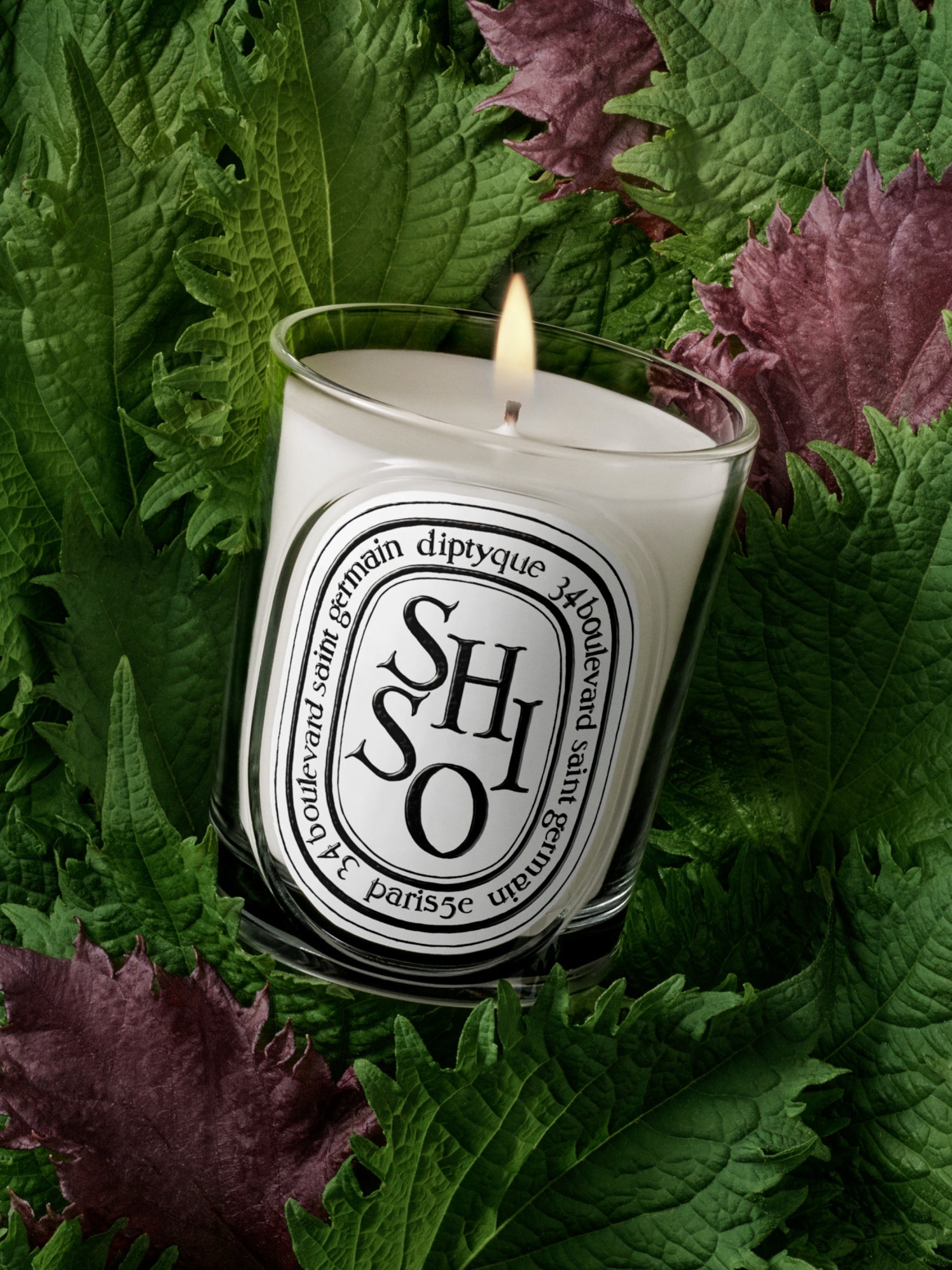 diptyque キャンドル CAFE SHISO 2個セット Shiso - Classic Candle – Diptyque