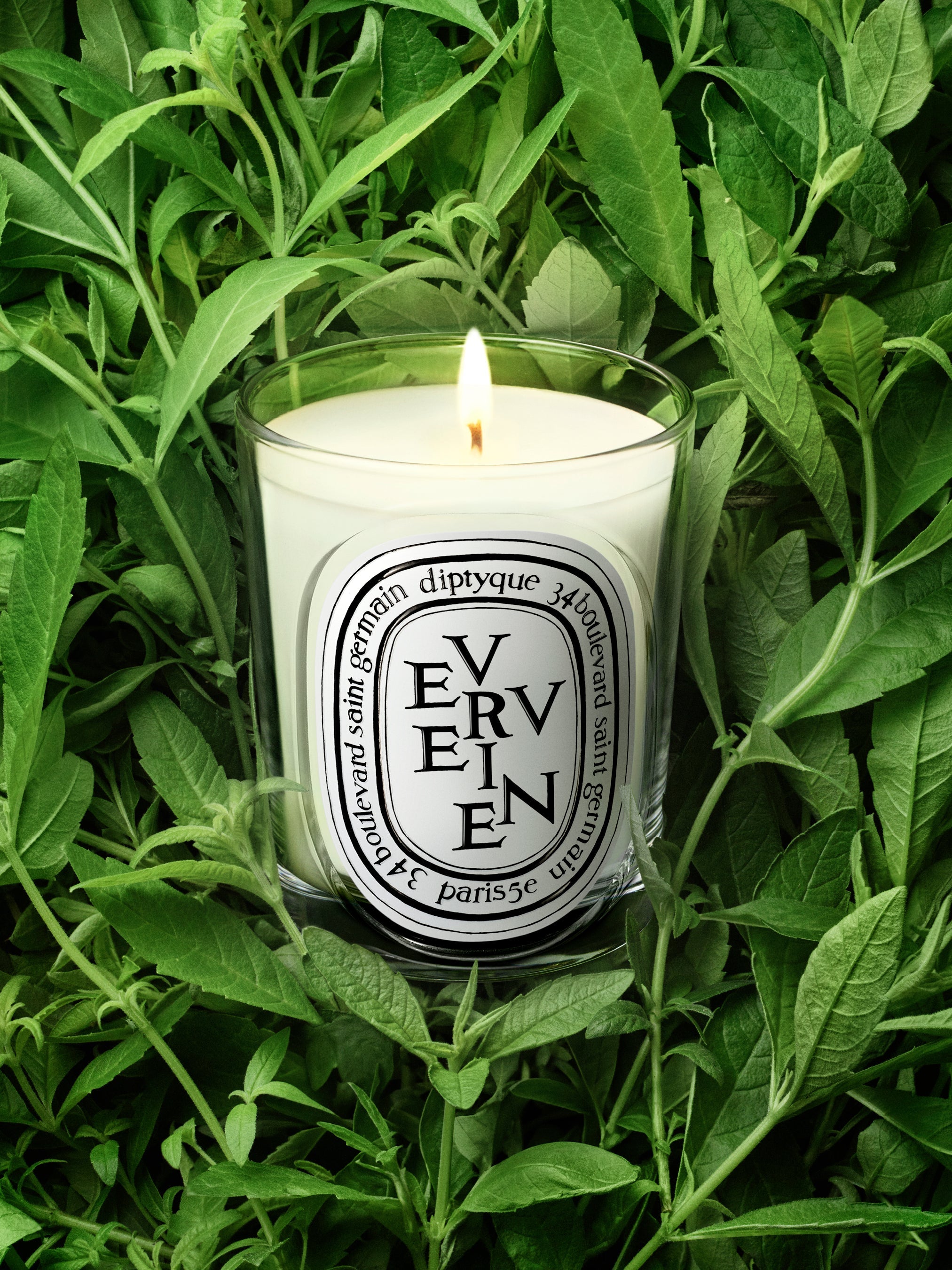 marchcafe DIPTYQUE キャンドル VERVEINE 新品 Verveine (Lemon Verbena Scented) - Classic Candle – Diptyque