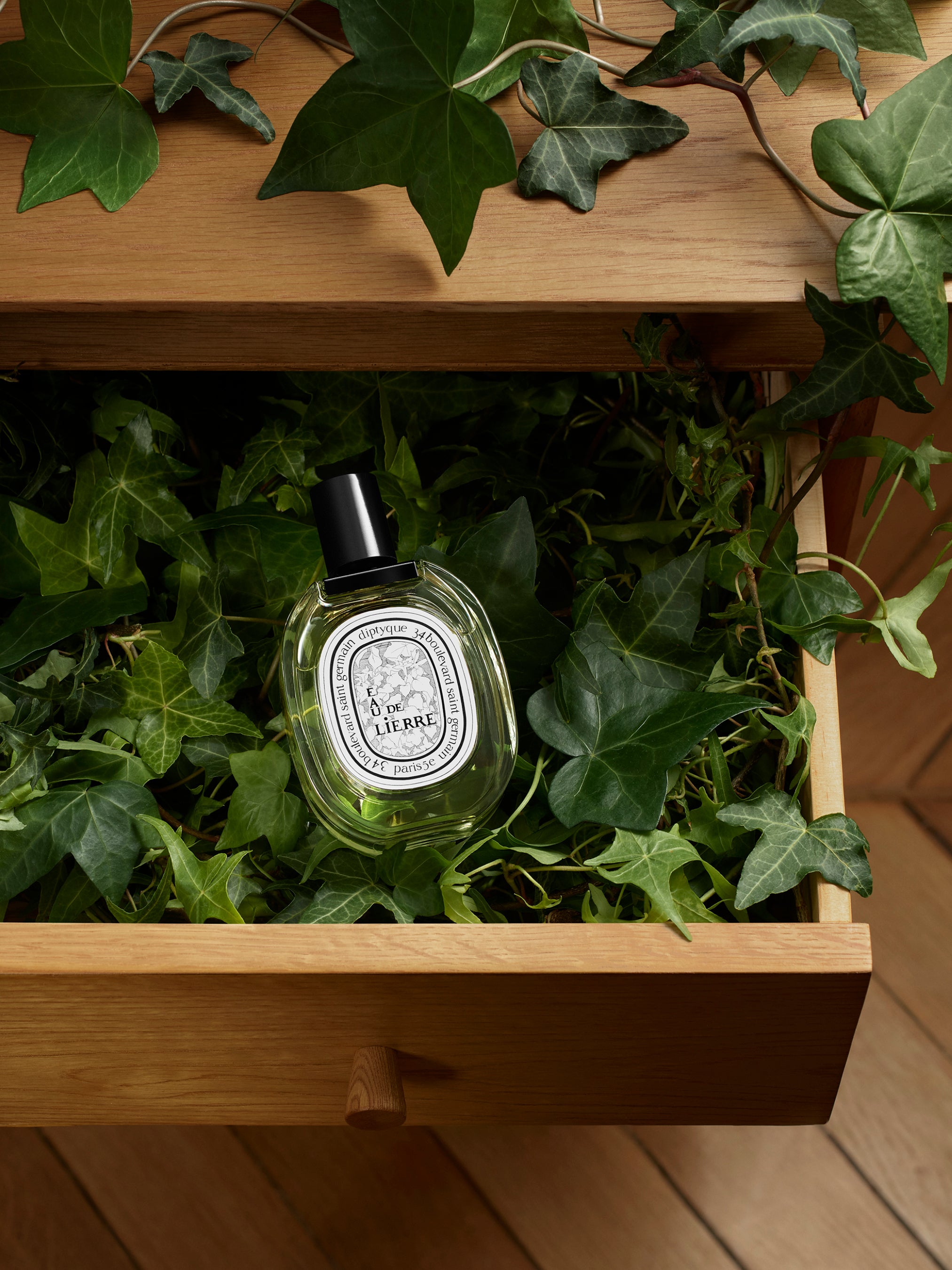 Eau de Lierre Eau de Toilette | Diptyque Paris