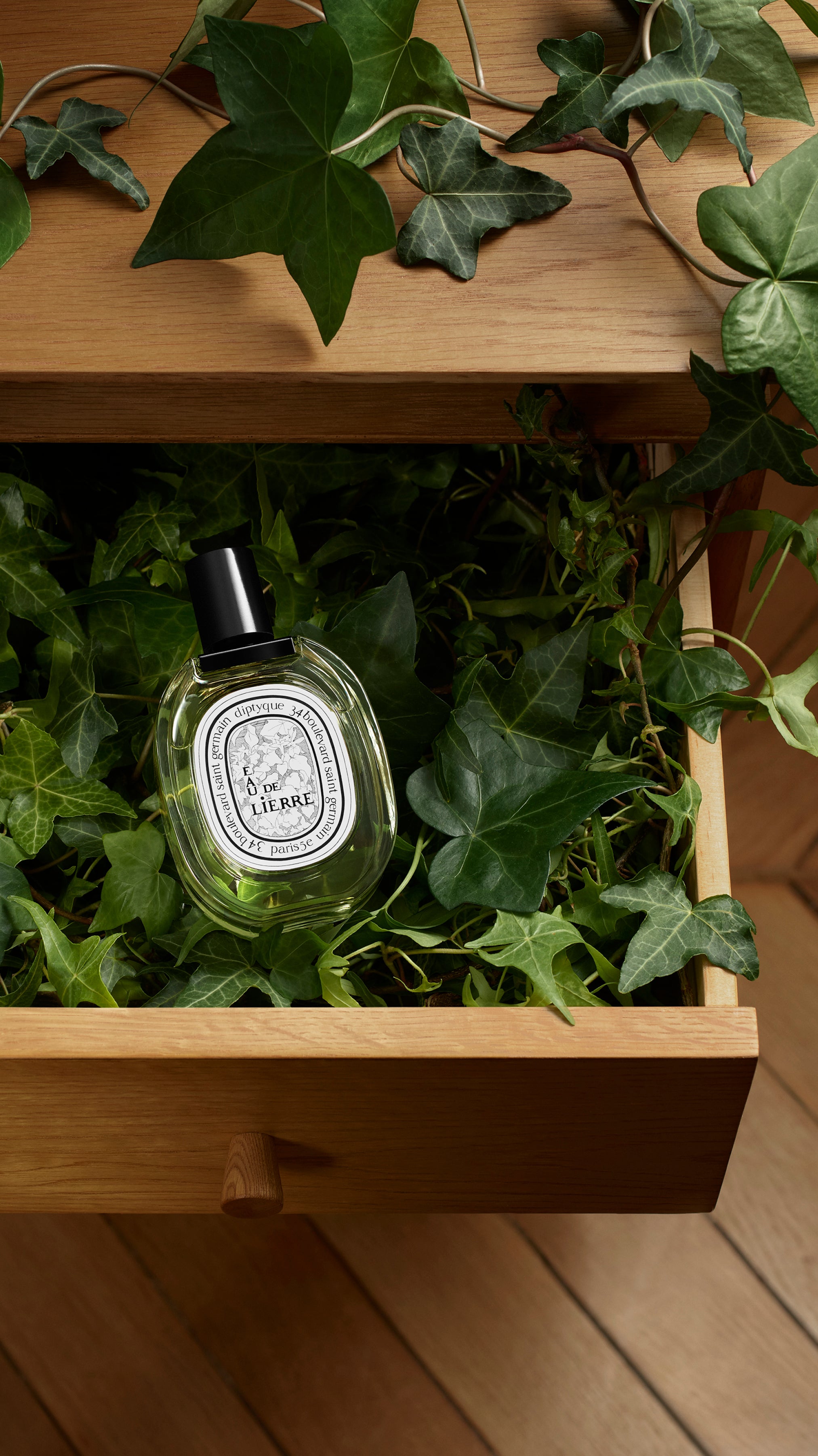 Eau de Lierre Eau de Toilette | Diptyque Paris Canada