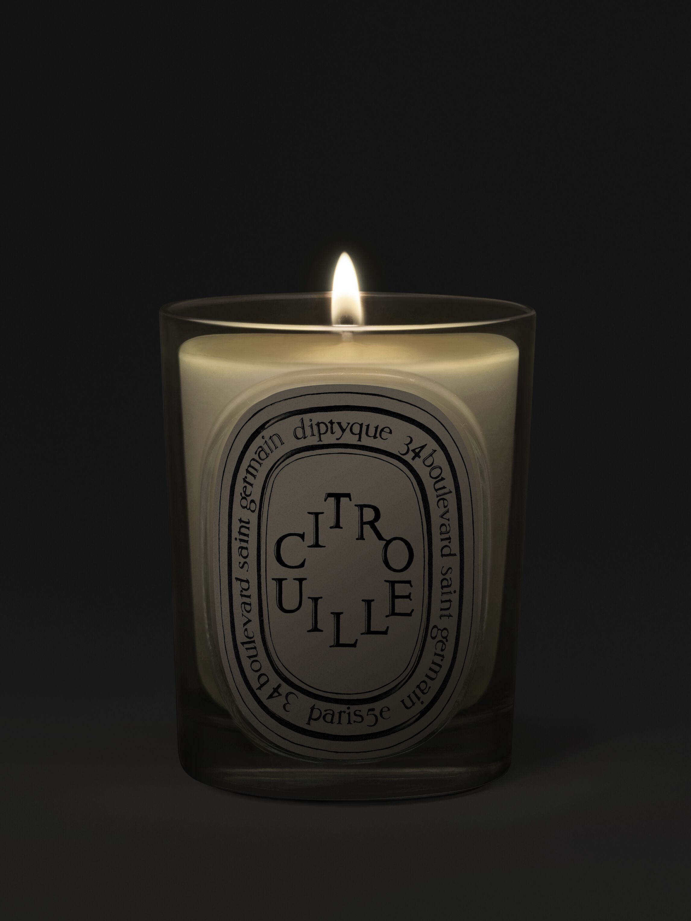 Autumn Limited Edition Pumpkin Candle | Diptyque Paris Canada