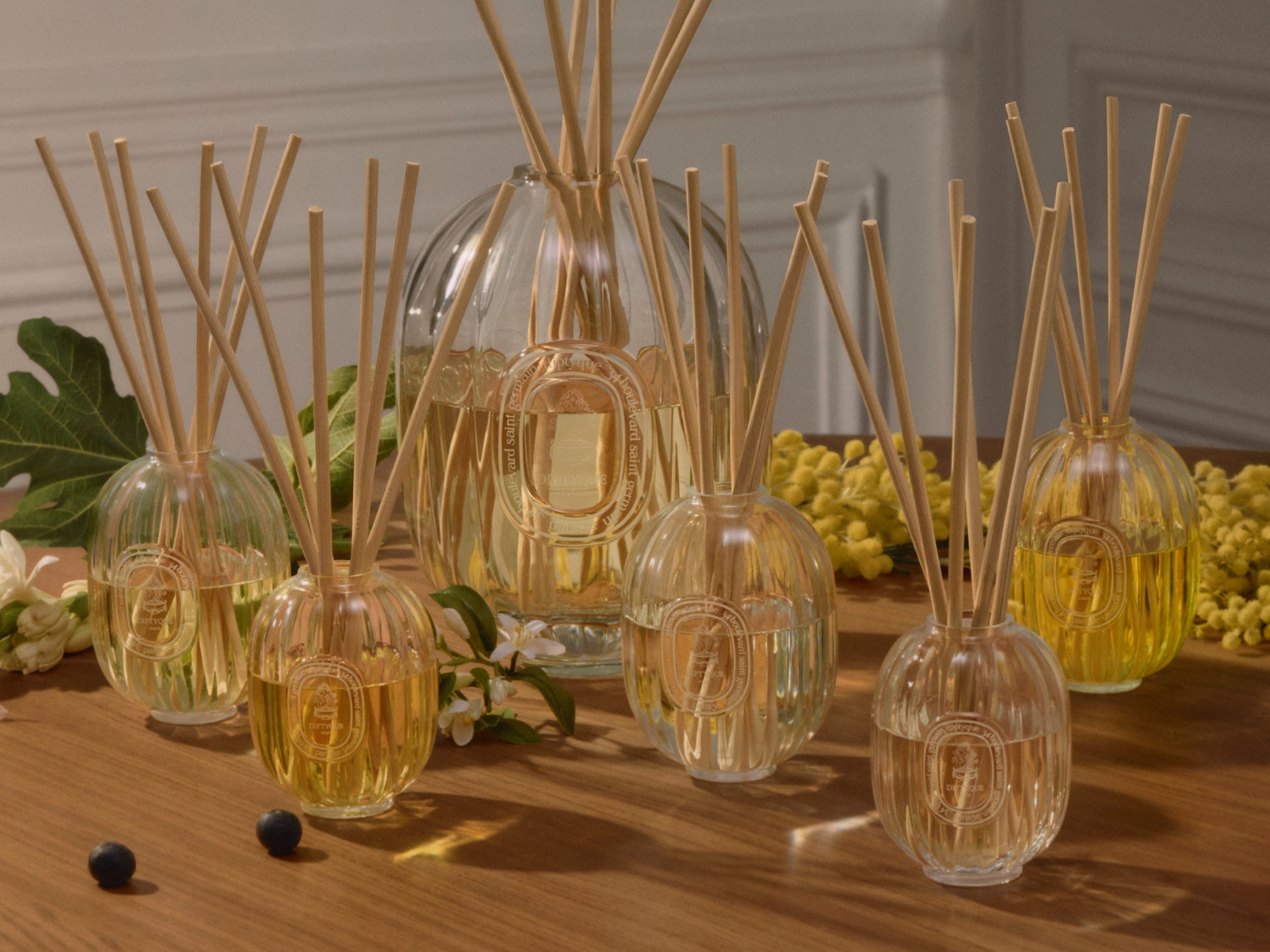 Explore the collection - Mimosa - Car diffuser – Diptyque
