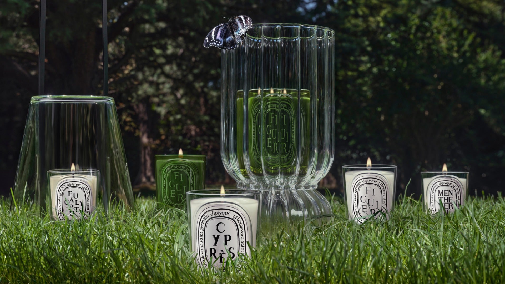 Ambre (Amber) - Large Candle – Diptyque