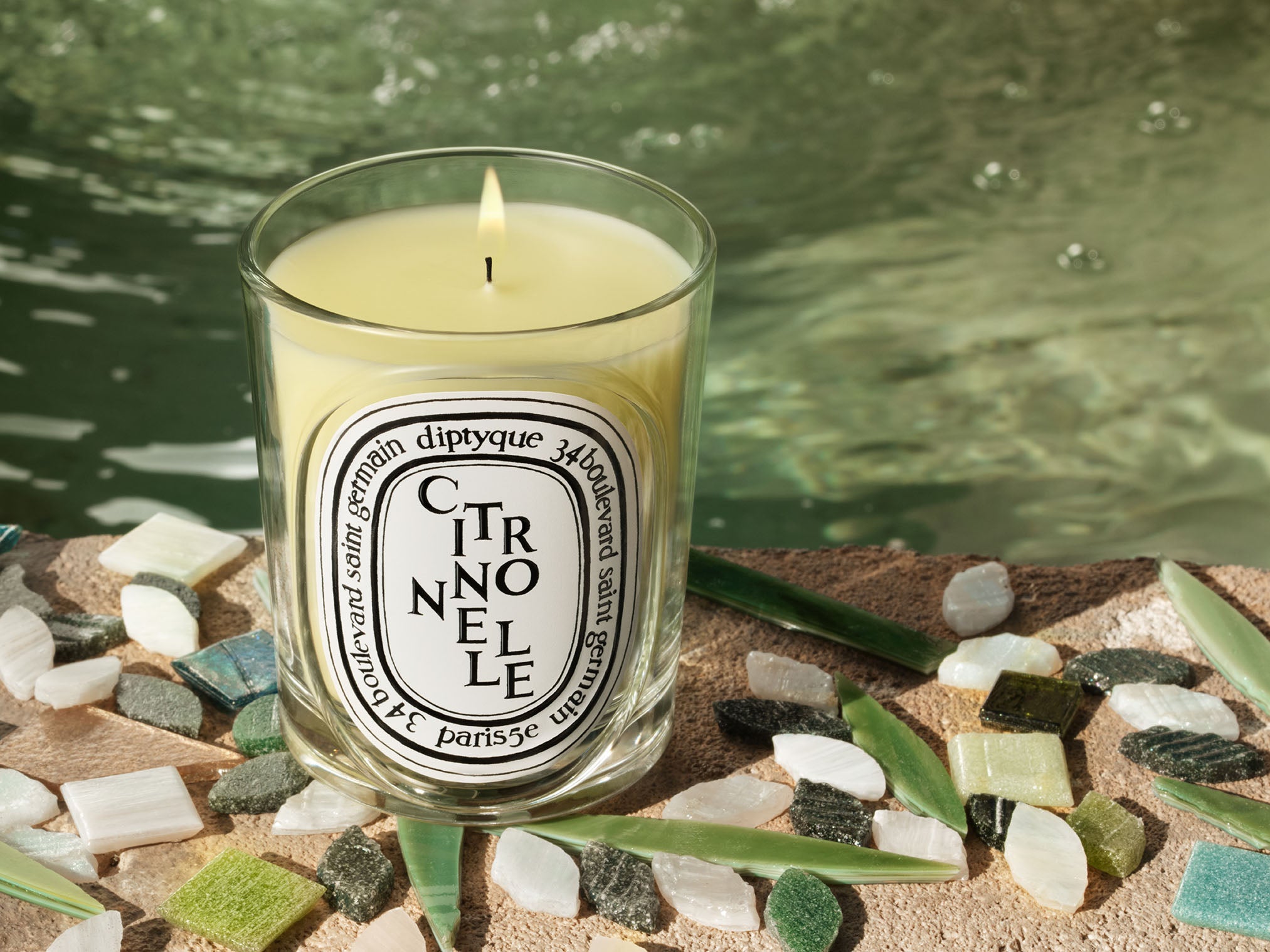 Mousses (Moss) - Classic Candle – Diptyque