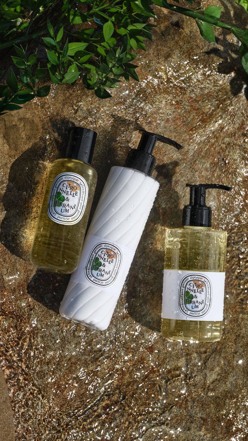 Citronnelle & Géranium - Gel de parfum lavant pour le corps