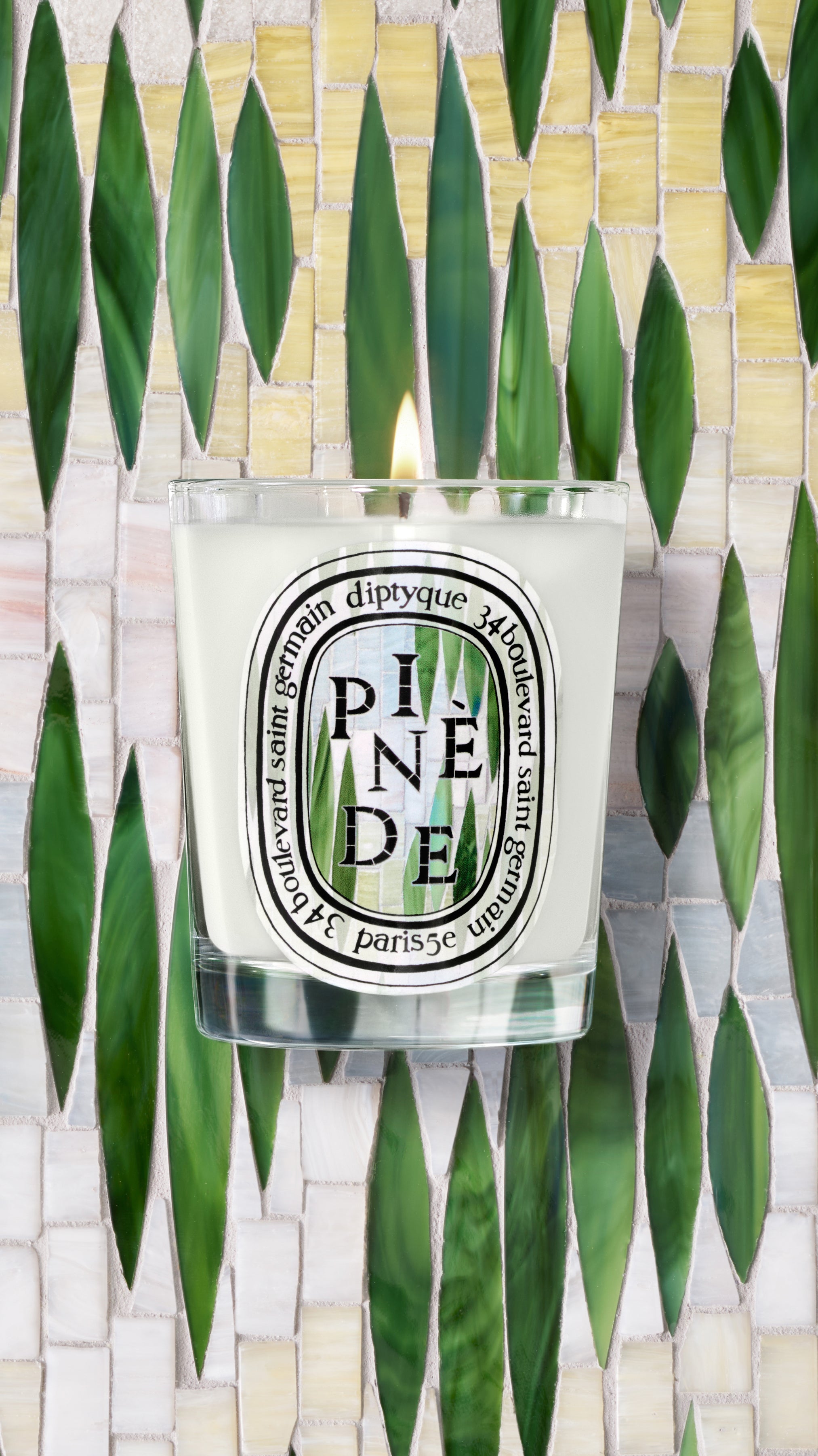 Pinède (Pine Grove) - Classic Candle – Diptyque