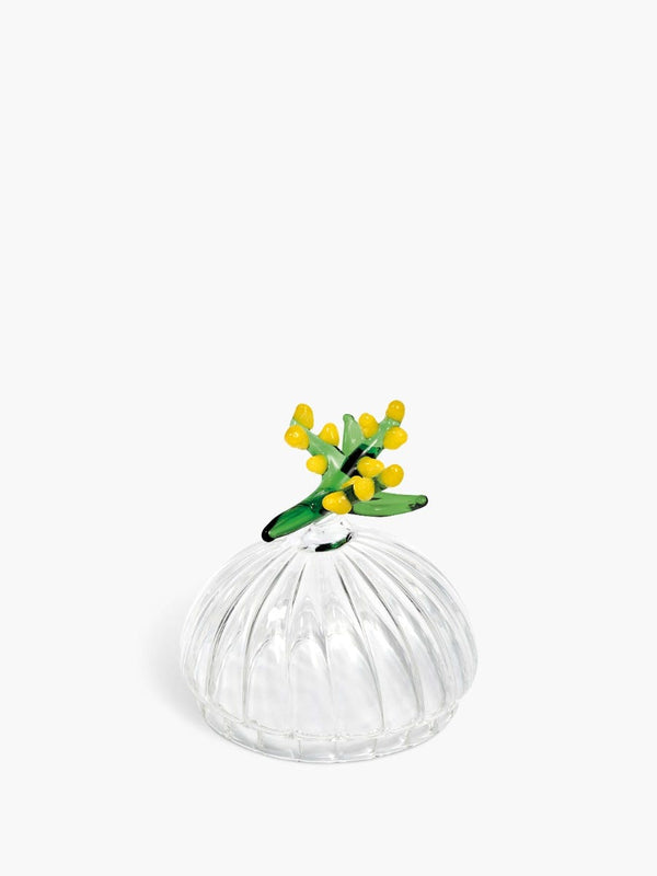 Mimosa Lid - For classic candles