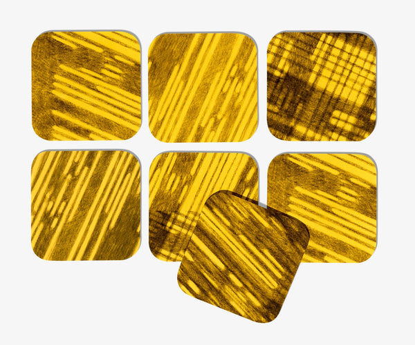 Coasters - Rays
