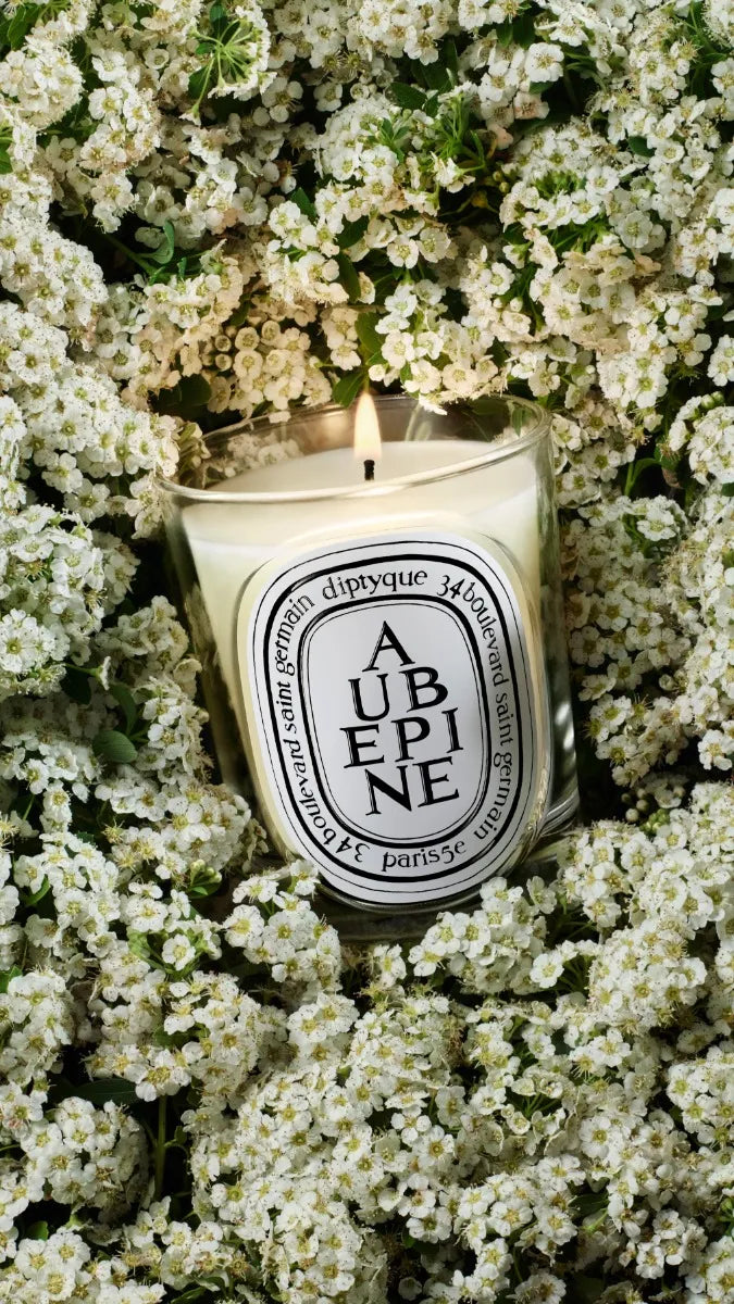 Aubépine - Bougie modèle classique