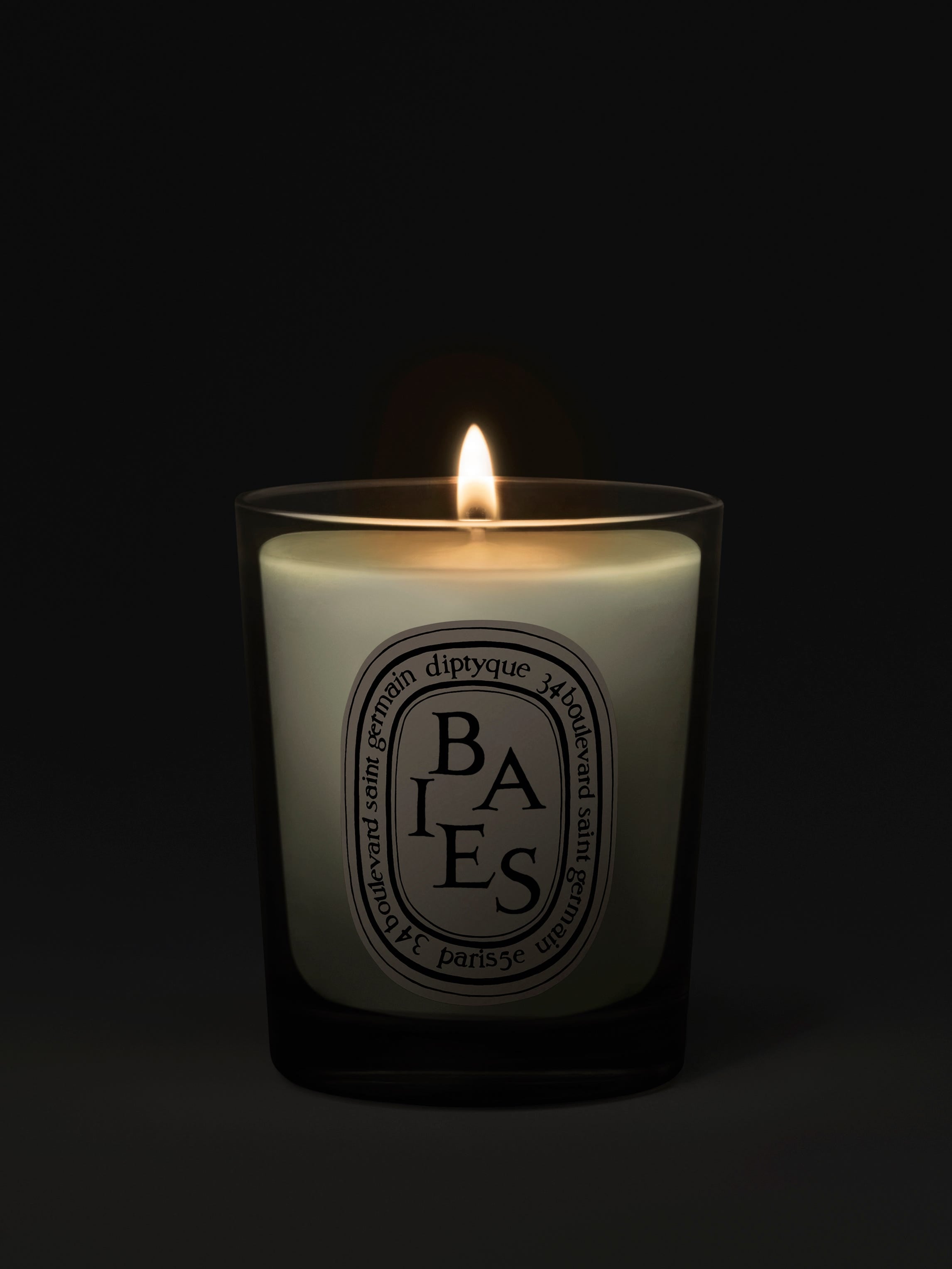 Baies (Berries) Small Scented Candle | Diptyque Paris