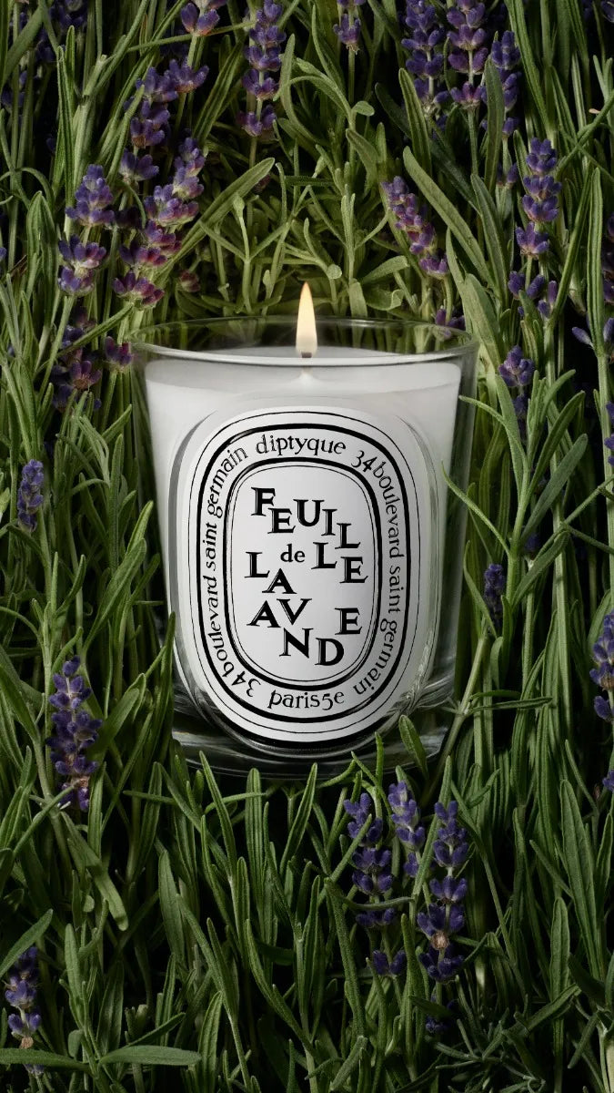Feuille de Lavande - Bougie modèle classique