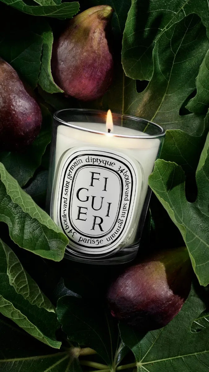 Figuier - Bougie modèle classique