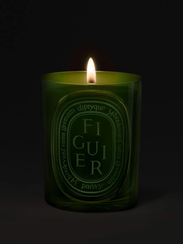 Figuier - Bougie moyen modèle