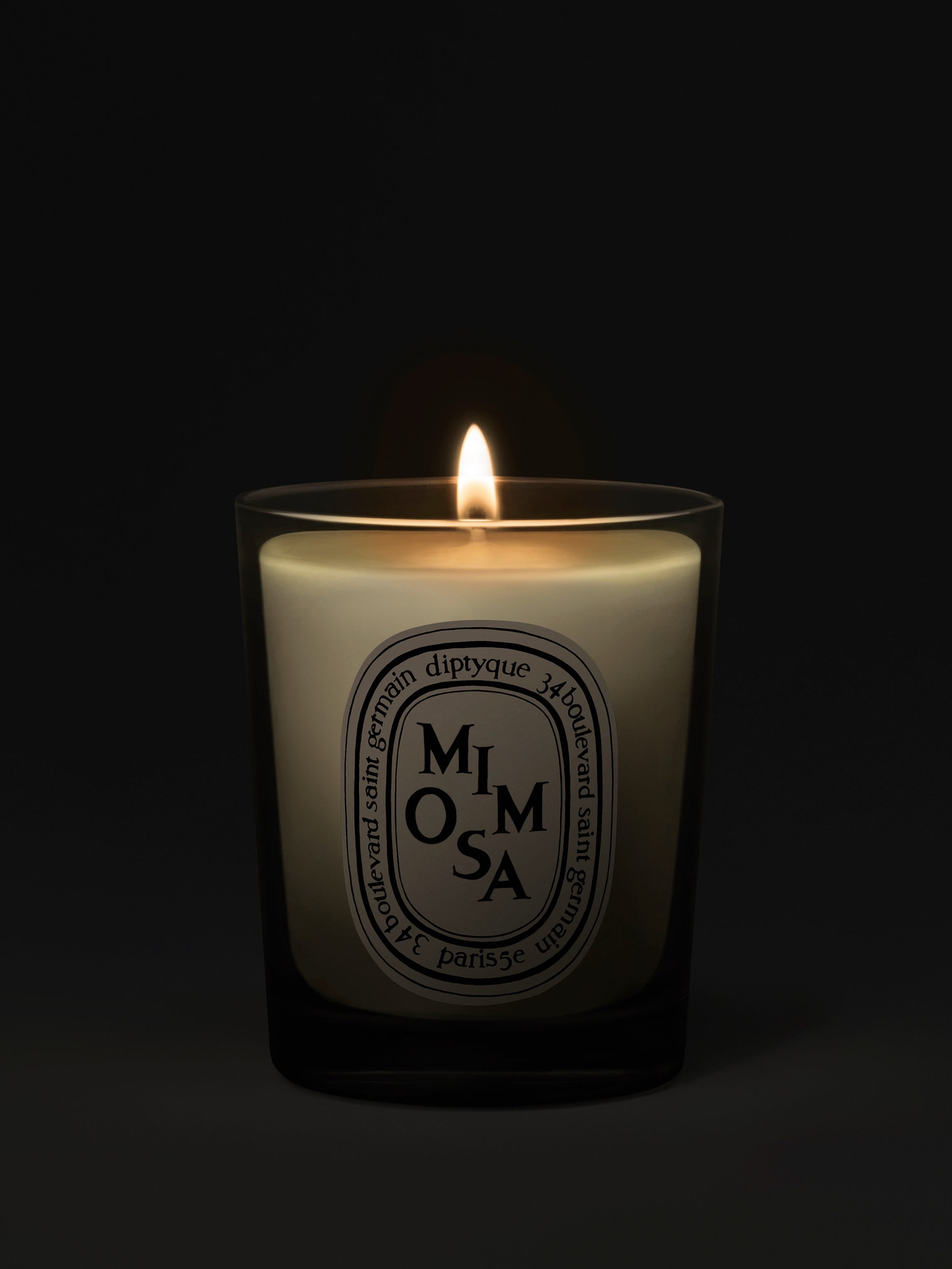 Mimosa Small Scented Candle | Diptyque Paris