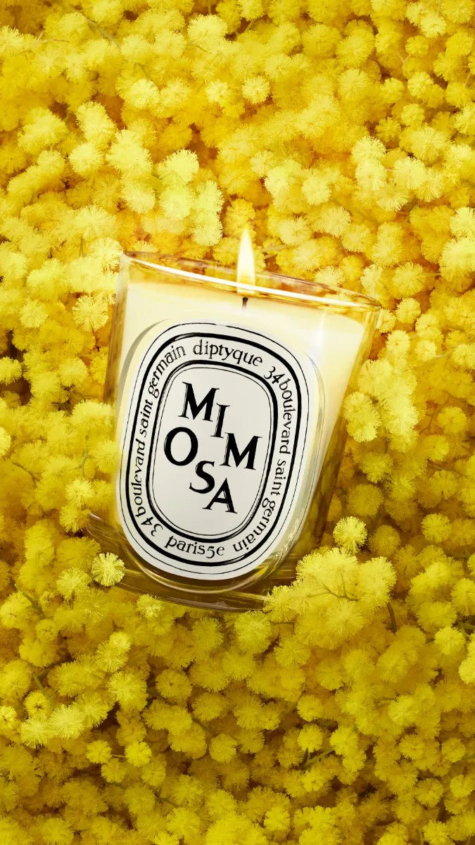 Mimosa - Bougie modèle classique