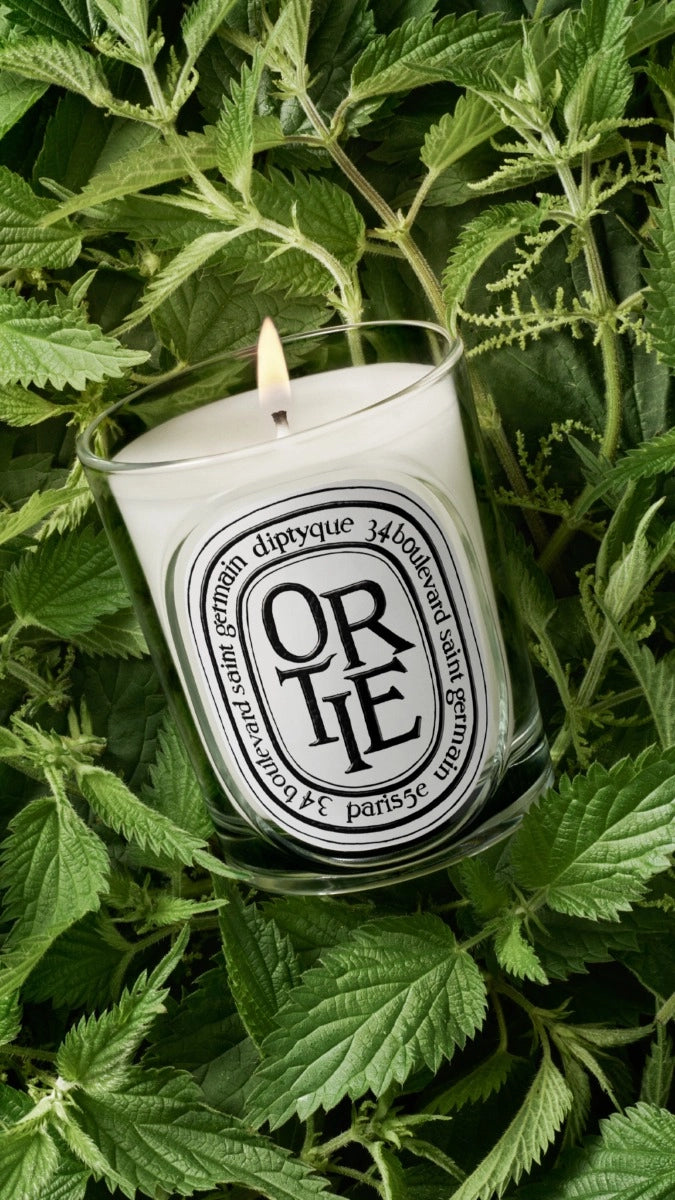 Ortie - Bougie modèle classique