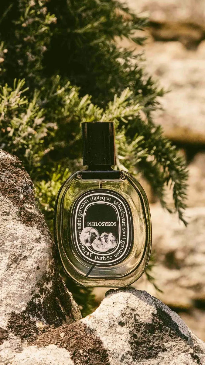 Philosykos Eau de Parfum | Diptyque Paris Canada Philosykos Eau de Parfum | Diptyque Paris Canada