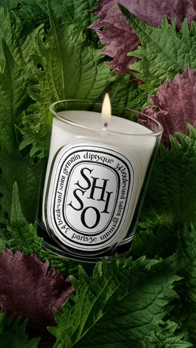 Shiso - Bougie modèle classique