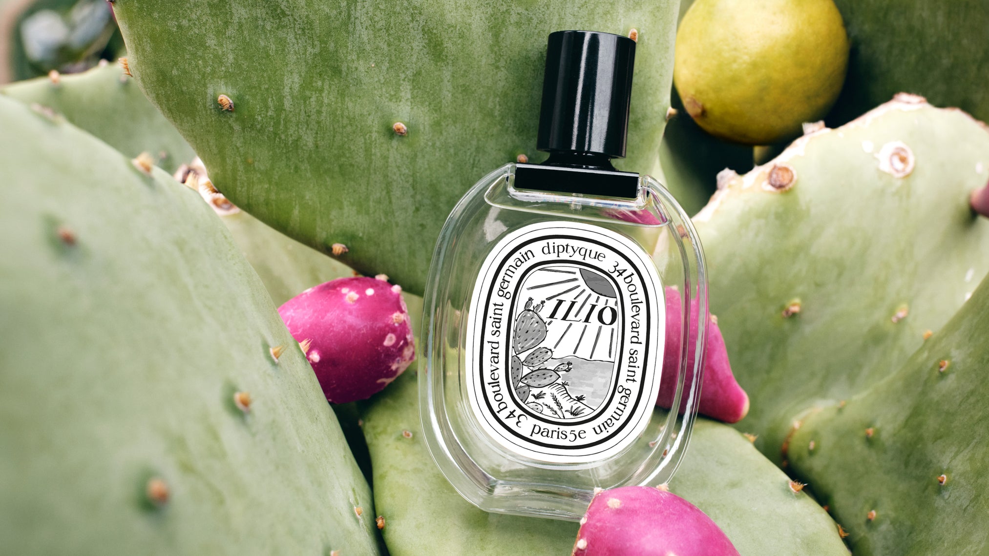 Vinaigre de toilette - Multi-purpose – Diptyque