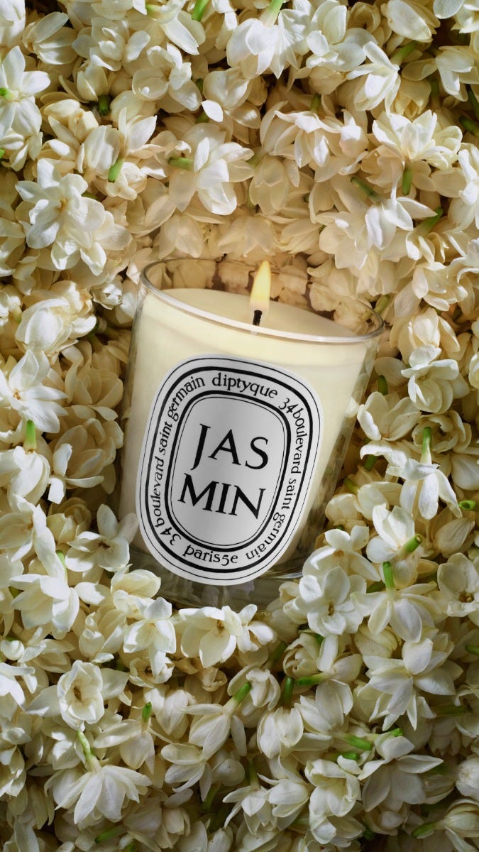 Diptyque アロマキャンドル　ジャスミン　JASMIN Jasmin (Jasmine) Small Scented Candle | Diptyque Paris