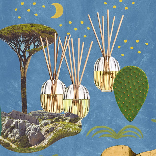 Citronnelle (Lemongrass) - Home Fragrance Diffuser
