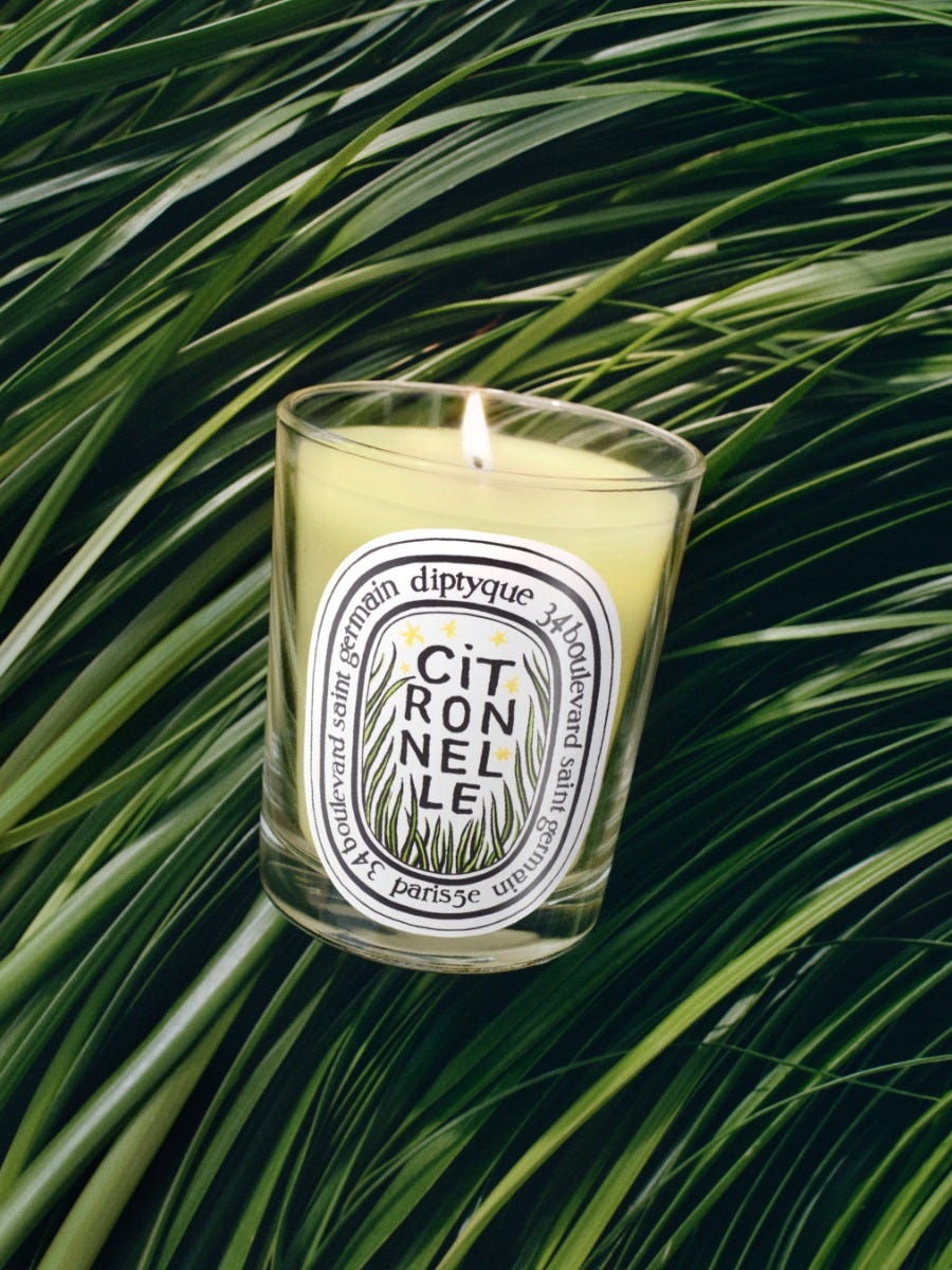 Citronnelle (Lemongrass) - Classic Candle