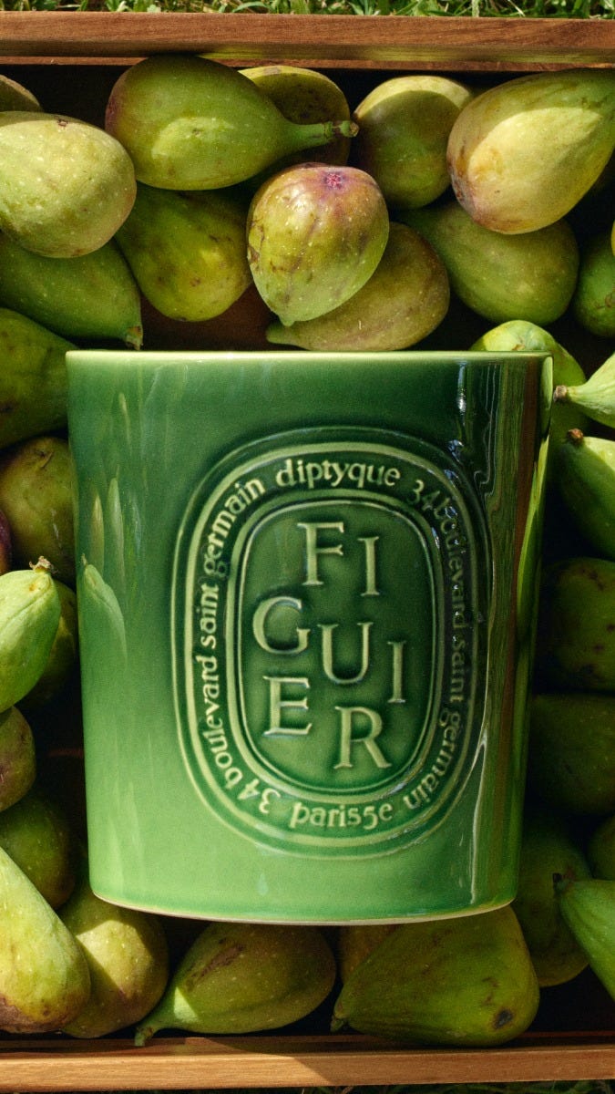 Figuier (Fig Tree) - Very Large Candle – Diptyque