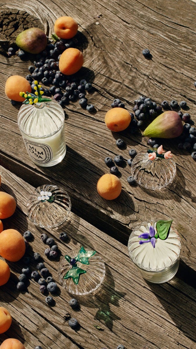 化粧小物( #Diptyque #Laboratorio #TAMBURINS) Baies (Berries) Lid - For classic candles – Diptyque